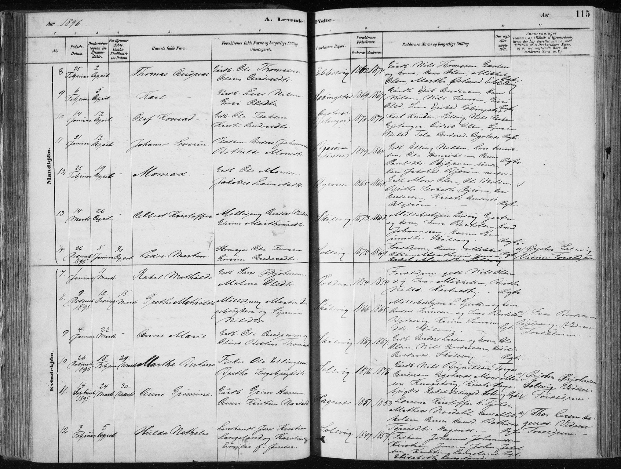Fjell sokneprestembete, SAB/A-75301/H/Haa: Parish register (official) no. A  8, 1878-1898, p. 115