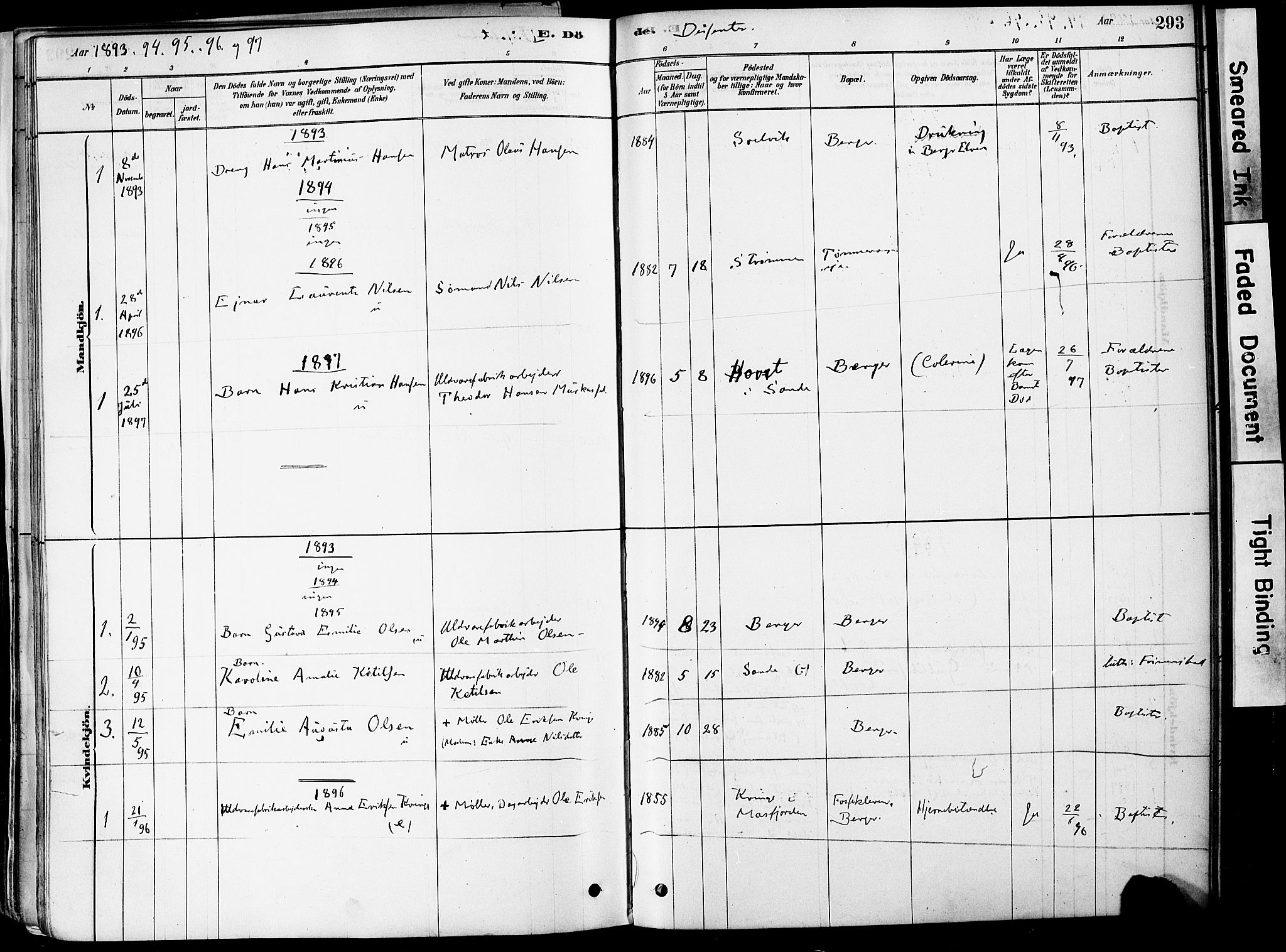 Strømm kirkebøker, AV/SAKO-A-322/F/Fa/L0004: Parish register (official) no. I 4, 1878-1899, p. 293