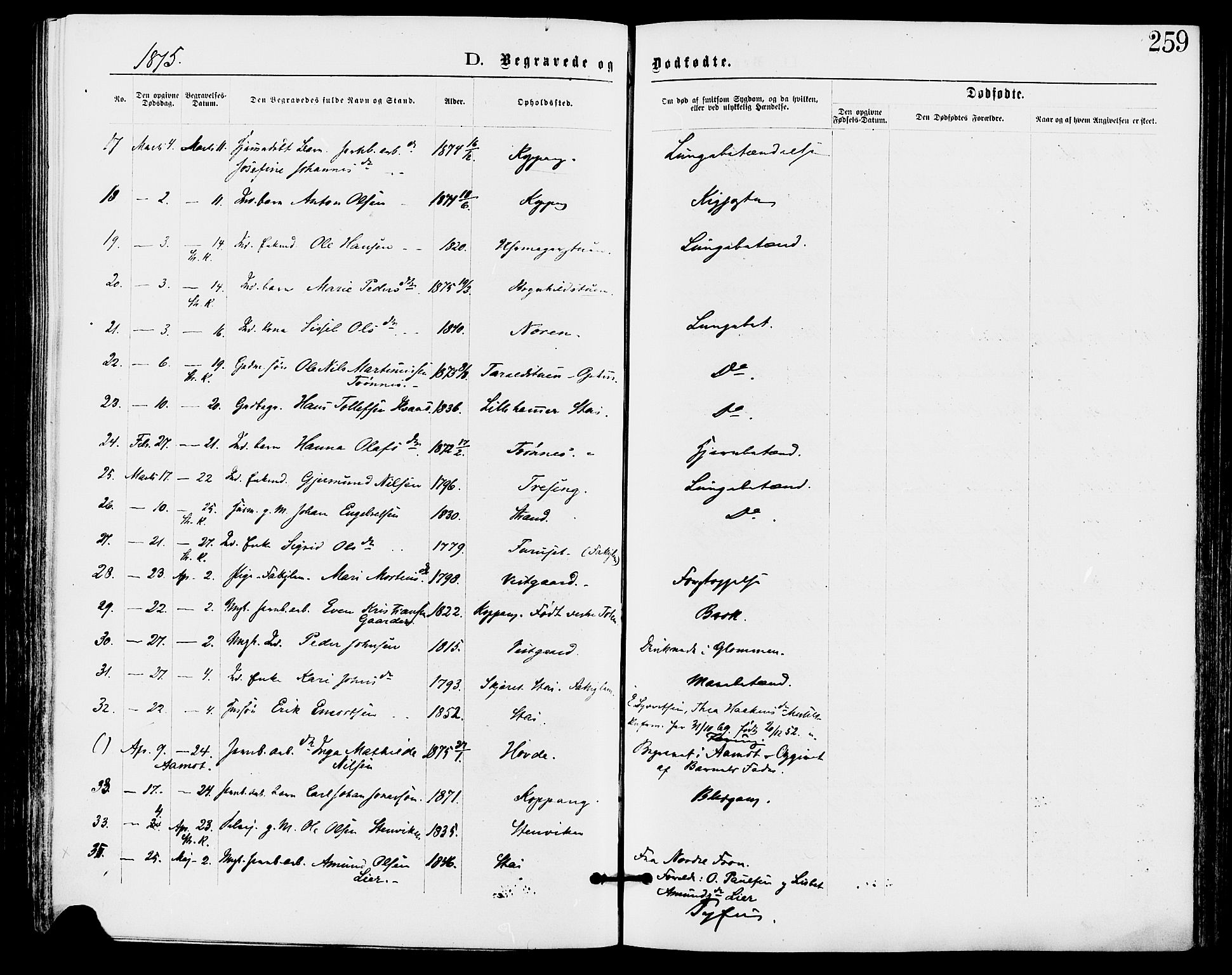 Stor-Elvdal prestekontor, SAH/PREST-052/H/Ha/Haa/L0001: Parish register (official) no. 1, 1871-1882, p. 259