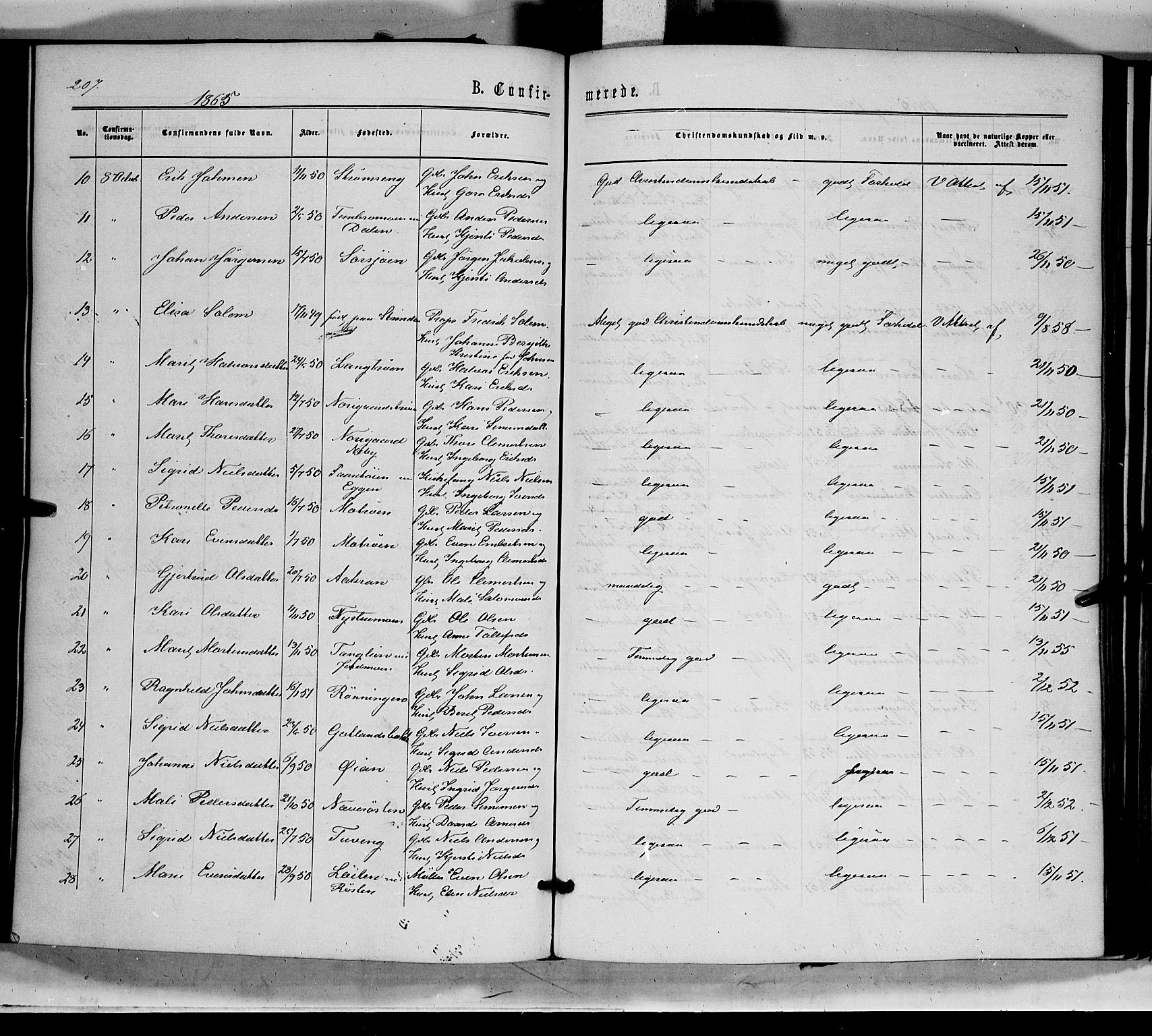 Tynset prestekontor, AV/SAH-PREST-058/H/Ha/Haa/L0021: Parish register (official) no. 21, 1863-1879, p. 207