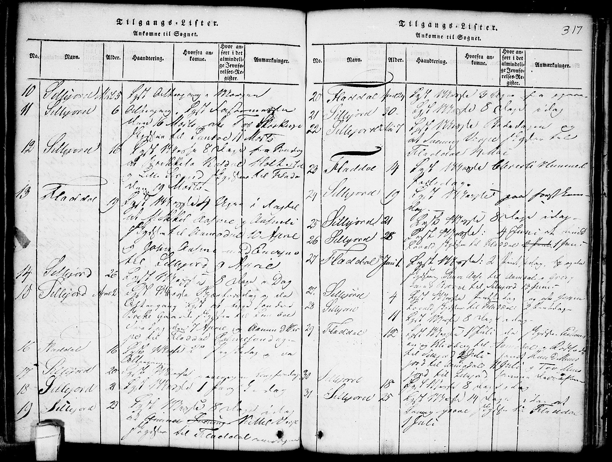 Seljord kirkebøker, AV/SAKO-A-20/G/Gb/L0002: Parish register (copy) no. II 2, 1815-1854, p. 317