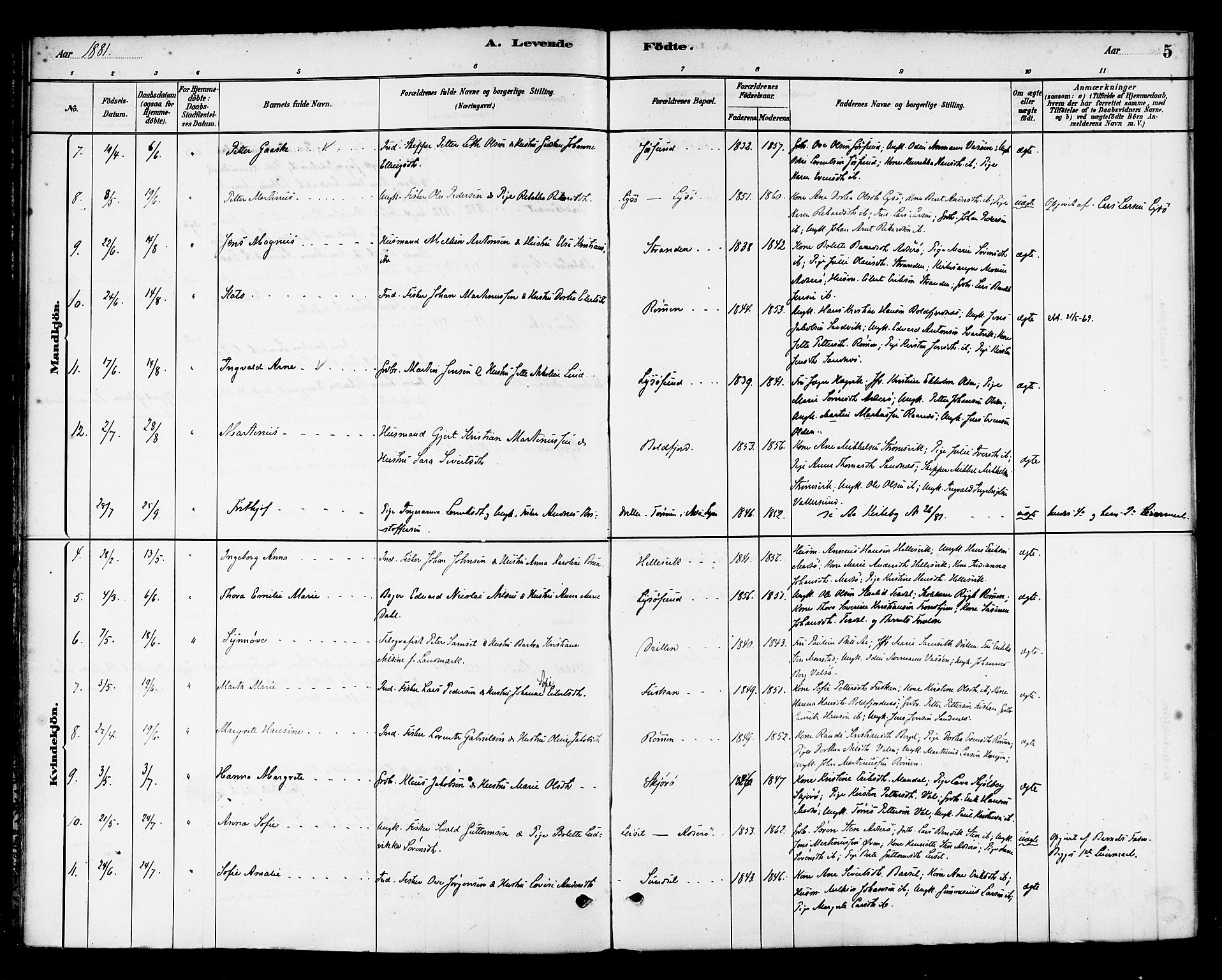 Ministerialprotokoller, klokkerbøker og fødselsregistre - Sør-Trøndelag, SAT/A-1456/654/L0663: Parish register (official) no. 654A01, 1880-1894, p. 5
