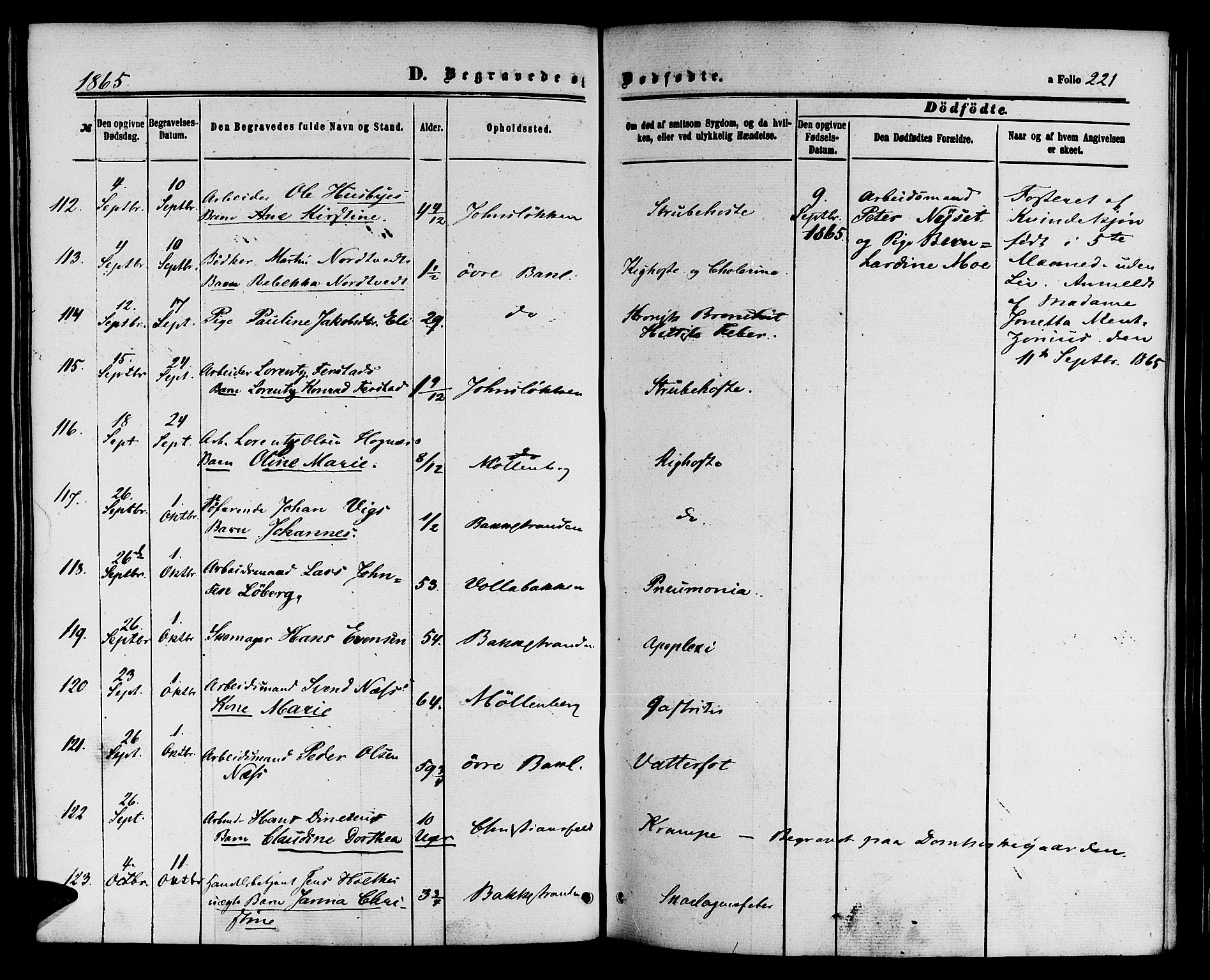 Ministerialprotokoller, klokkerbøker og fødselsregistre - Sør-Trøndelag, AV/SAT-A-1456/604/L0185: Parish register (official) no. 604A06, 1861-1865, p. 221