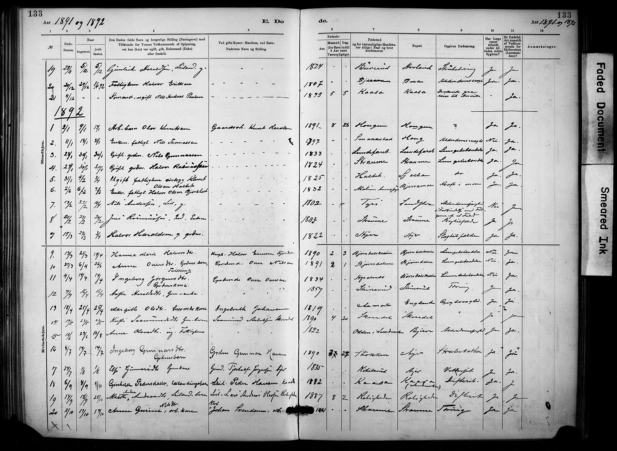 Lunde kirkebøker, SAKO/A-282/F/Fa/L0002: Parish register (official) no. I 2, 1884-1892, p. 133