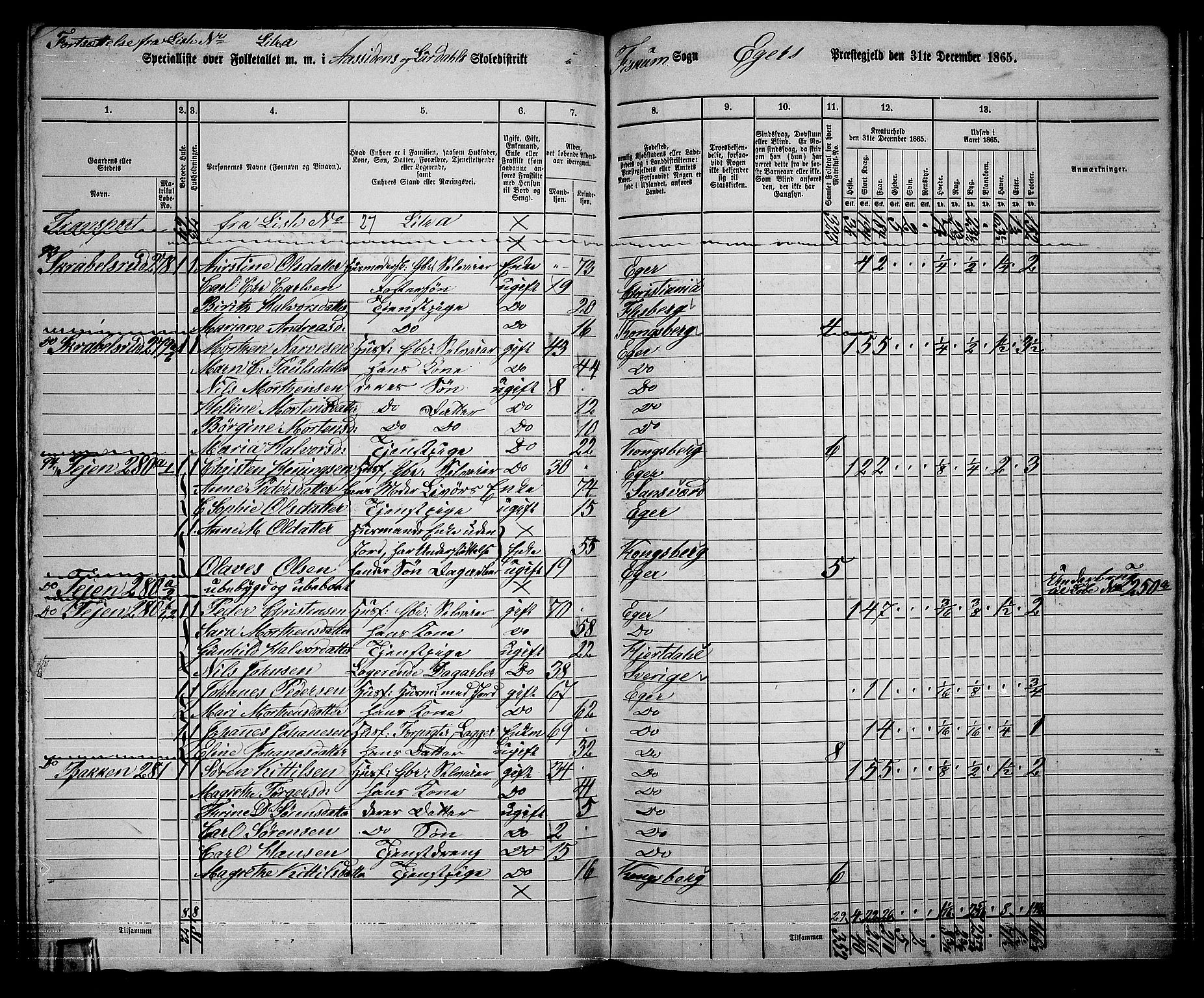 RA, 1865 census for Eiker, 1865, p. 510