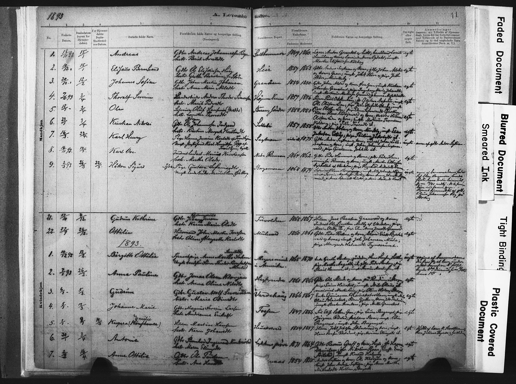 Ministerialprotokoller, klokkerbøker og fødselsregistre - Nord-Trøndelag, SAT/A-1458/721/L0207: Parish register (official) no. 721A02, 1880-1911, p. 41