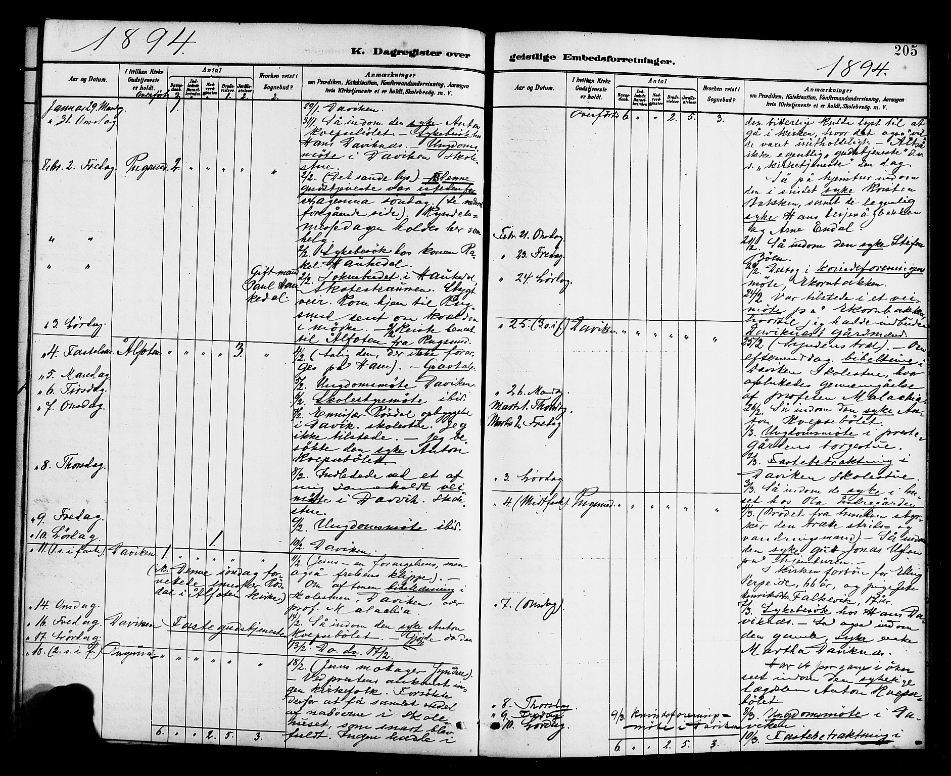 Davik sokneprestembete, AV/SAB-A-79701/H/Haa/Haab/L0001: Parish register (official) no. B 1, 1882-1900, p. 205