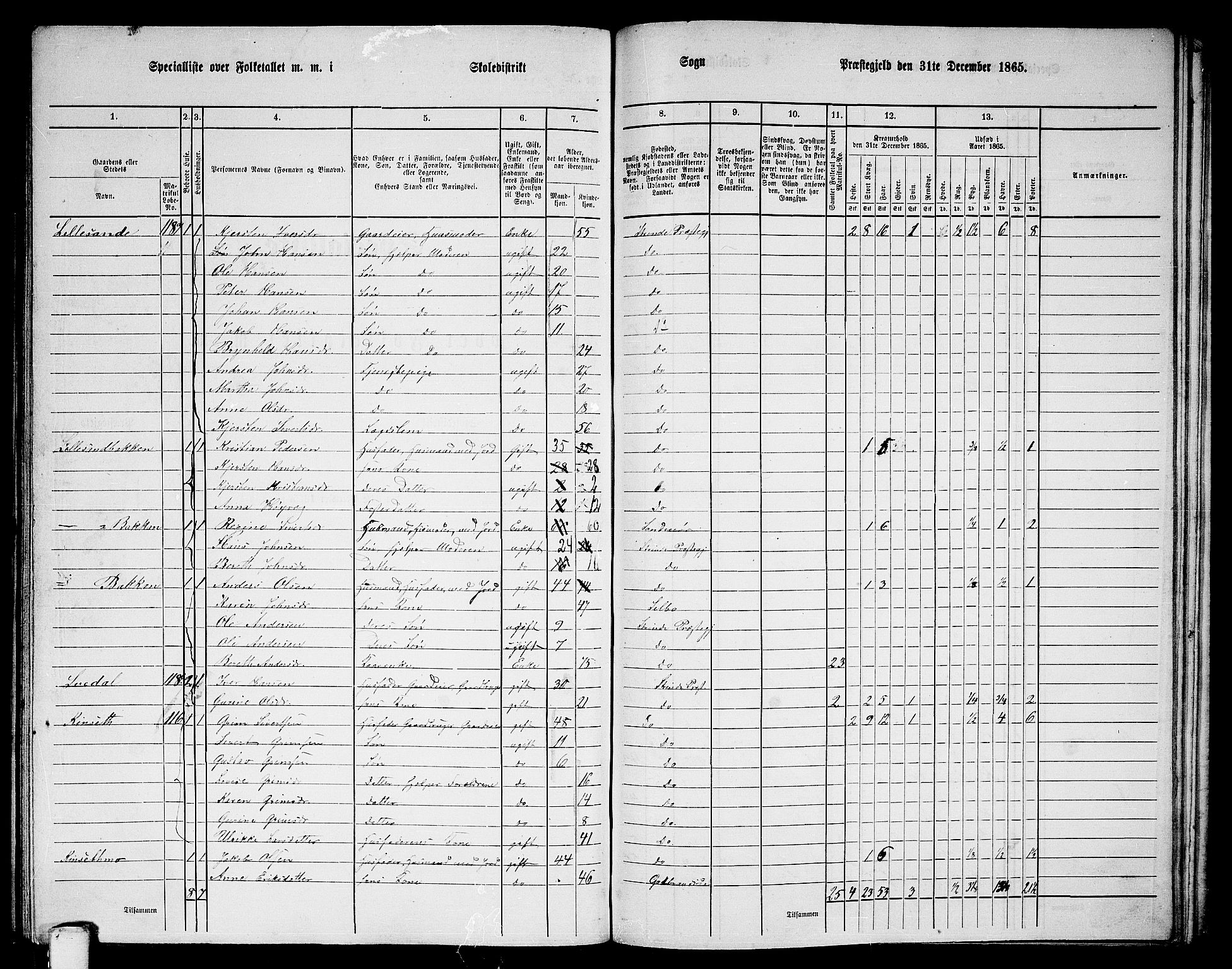 RA, 1865 census for Strinda, 1865, p. 229