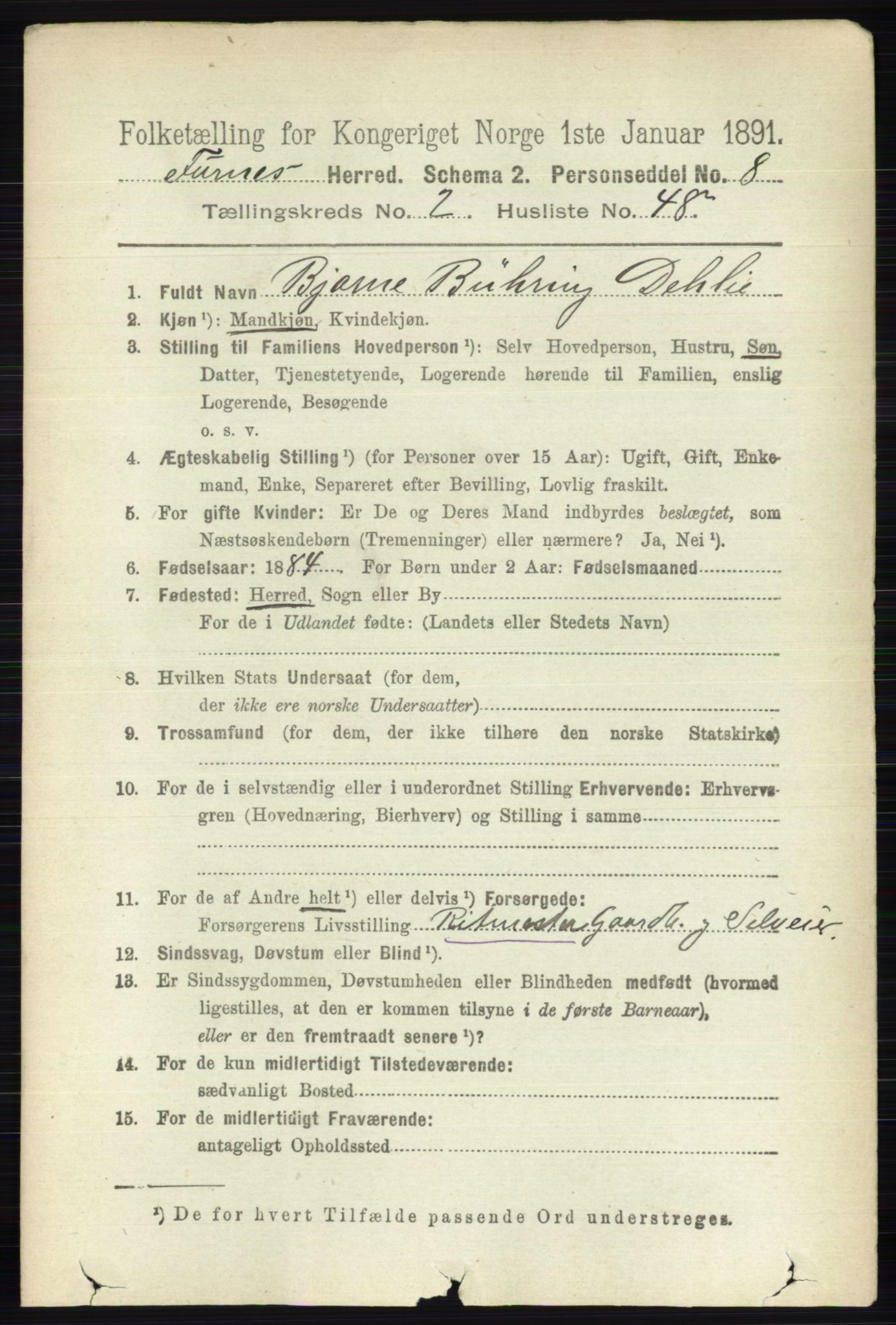 RA, Census 1891 for 0413 Furnes herred, 1891, p. 1100