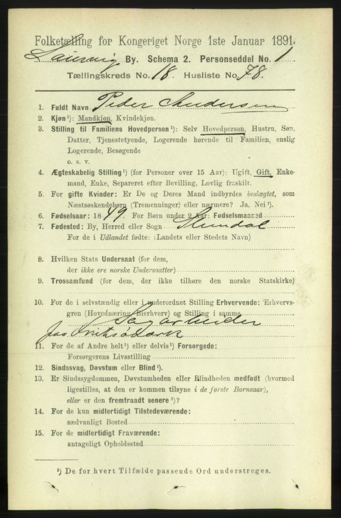 RA, 1891 census for 0707 Larvik, 1891, p. 13876