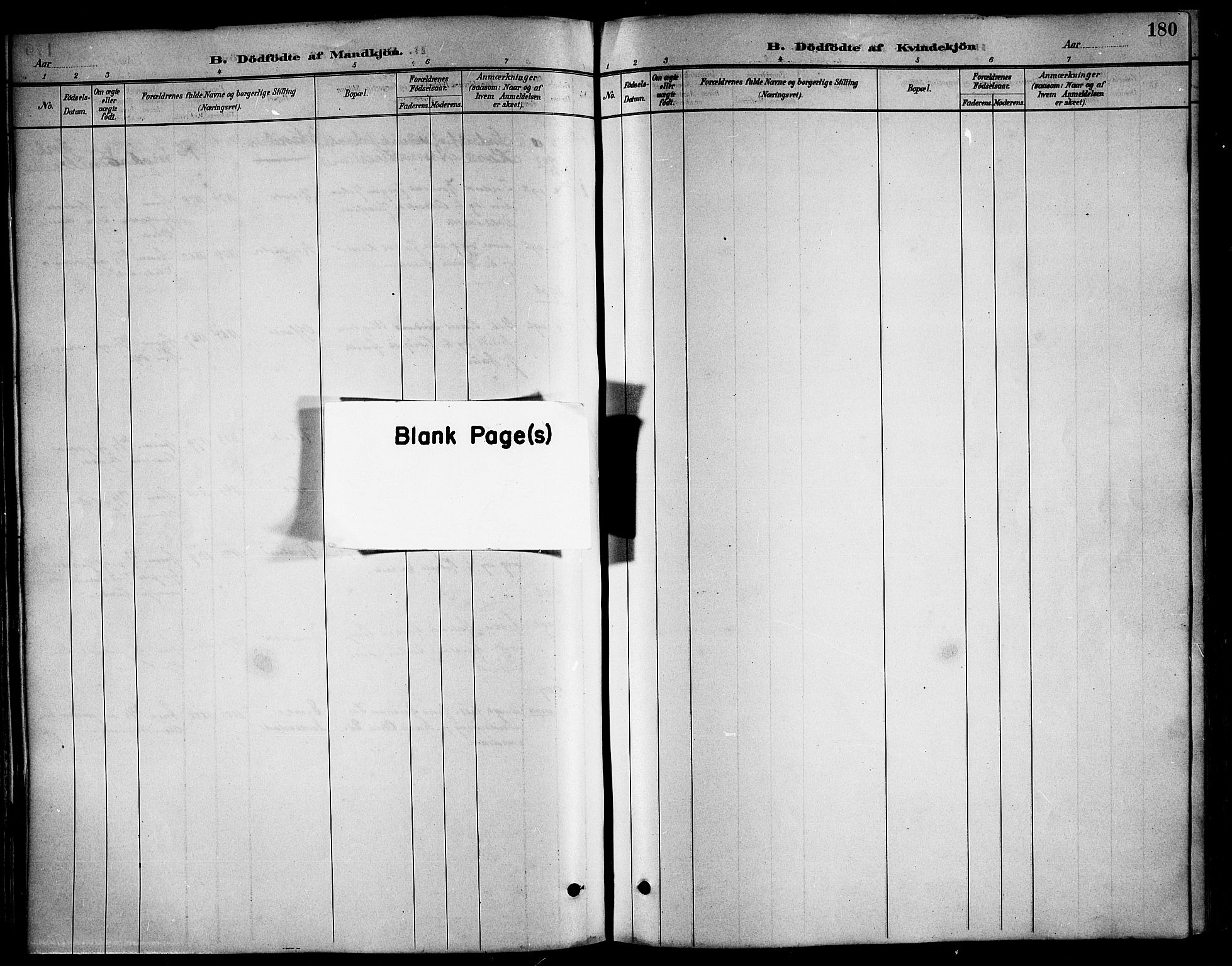 Ministerialprotokoller, klokkerbøker og fødselsregistre - Nordland, AV/SAT-A-1459/817/L0268: Parish register (copy) no. 817C03, 1884-1920, p. 180