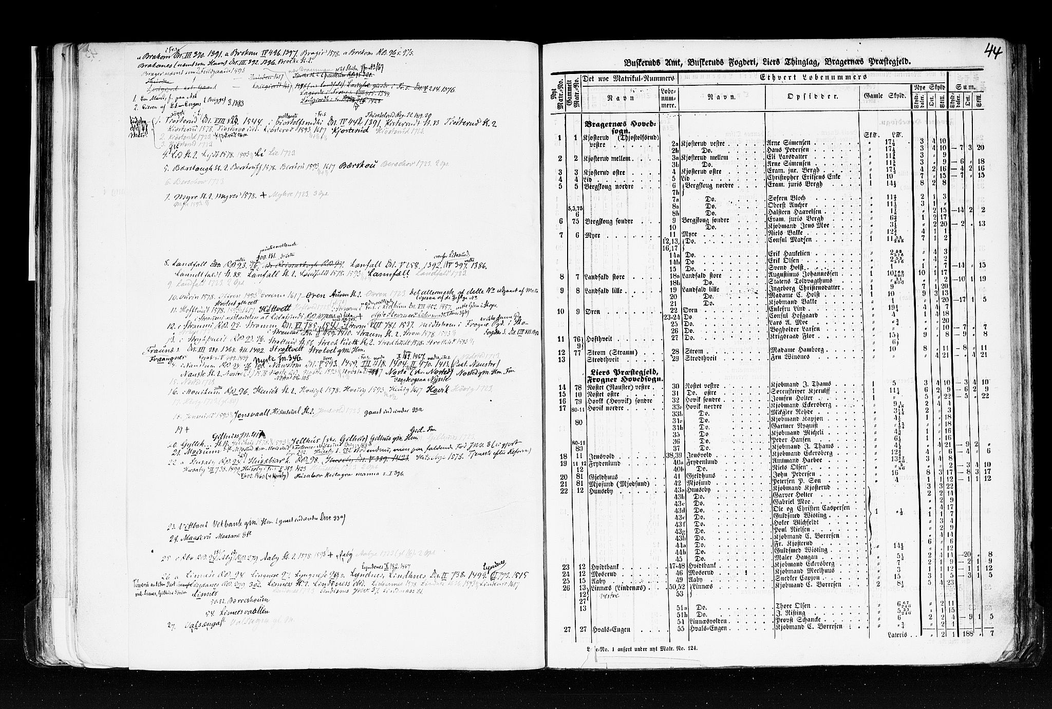 Rygh, AV/RA-PA-0034/F/Fb/L0005: Matrikkelen for 1838 - Buskerud amt (Buskerud fylke), 1838, p. 44a