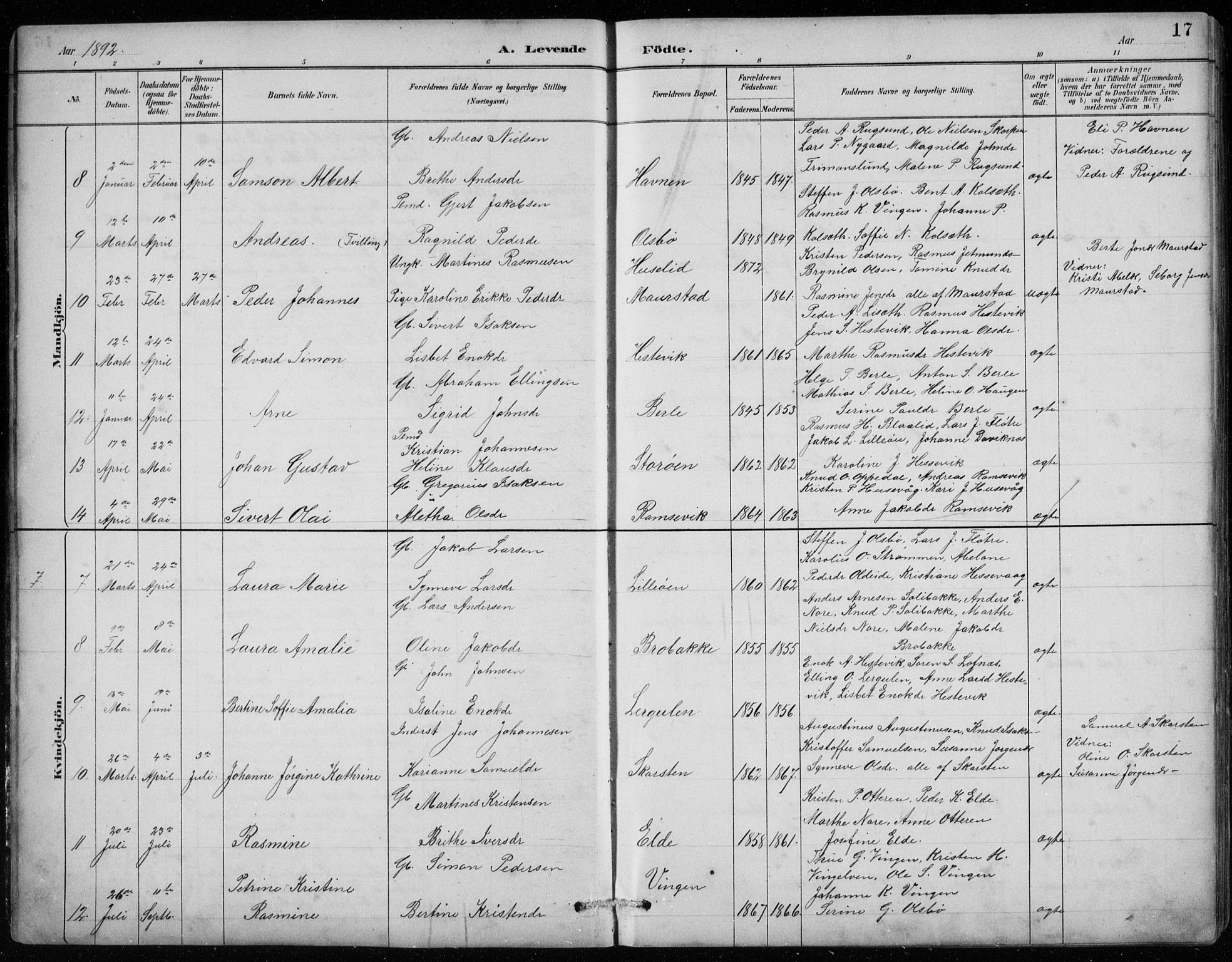 Davik sokneprestembete, AV/SAB-A-79701/H/Hab/Habc/L0002: Parish register (copy) no. C 2, 1889-1906, p. 17