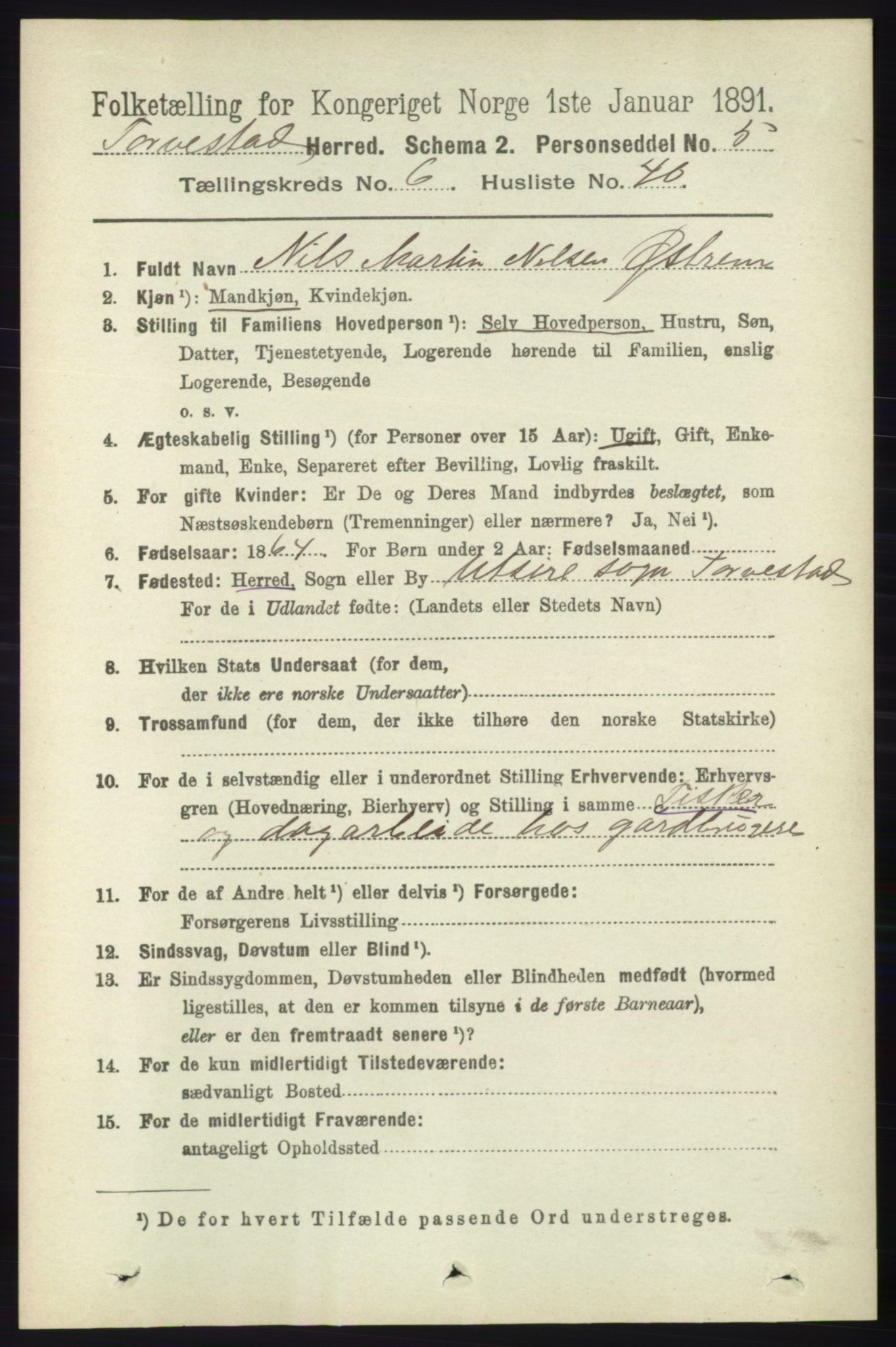 RA, 1891 census for 1152 Torvastad, 1891, p. 2180