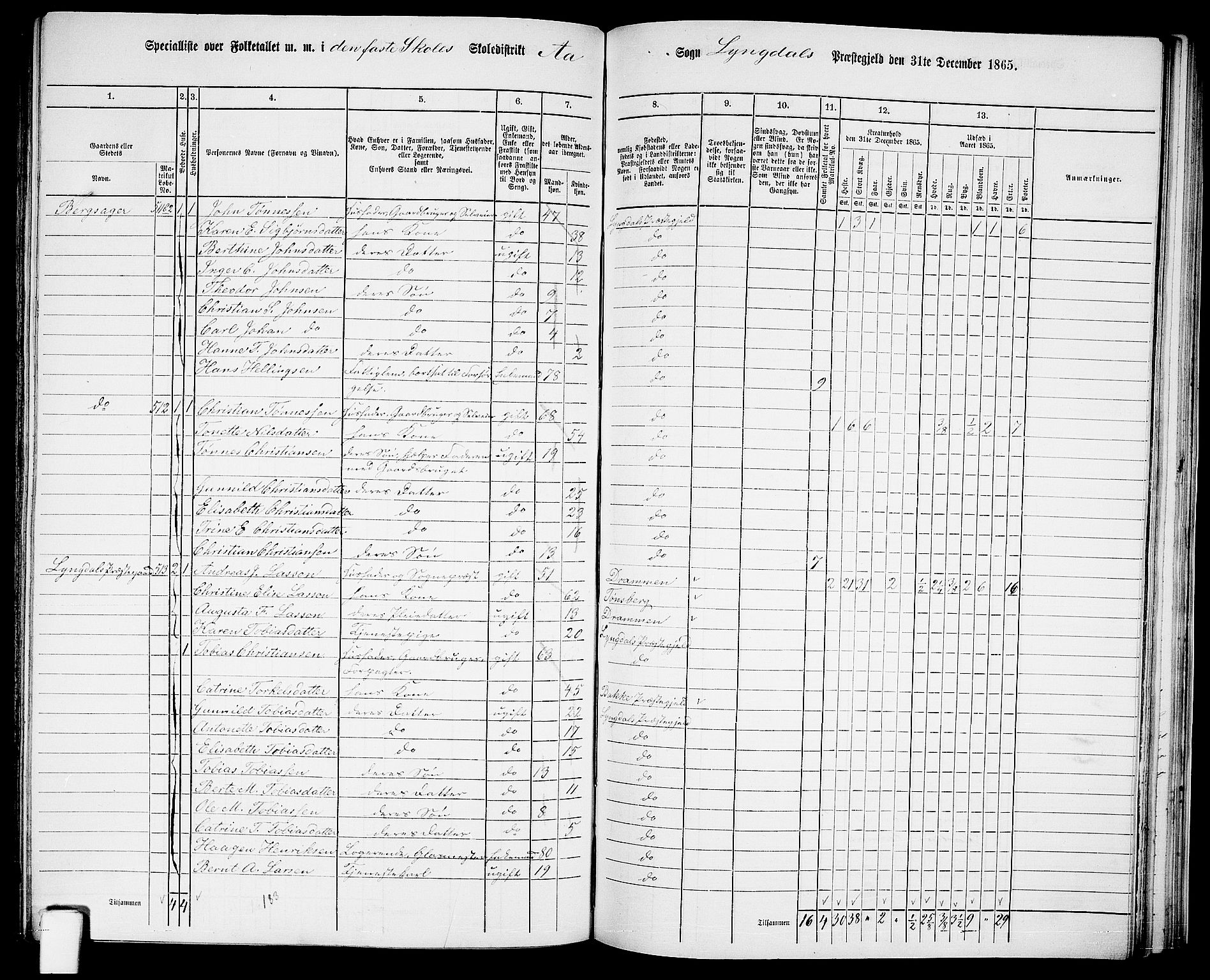 RA, 1865 census for Lyngdal, 1865, p. 202