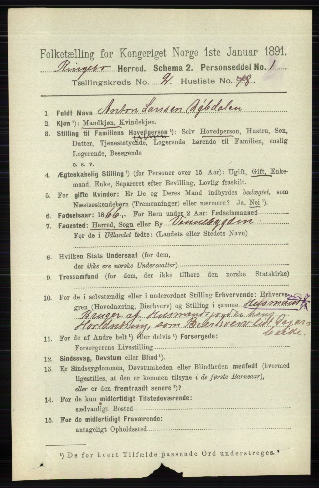 RA, 1891 census for 0520 Ringebu, 1891, p. 613