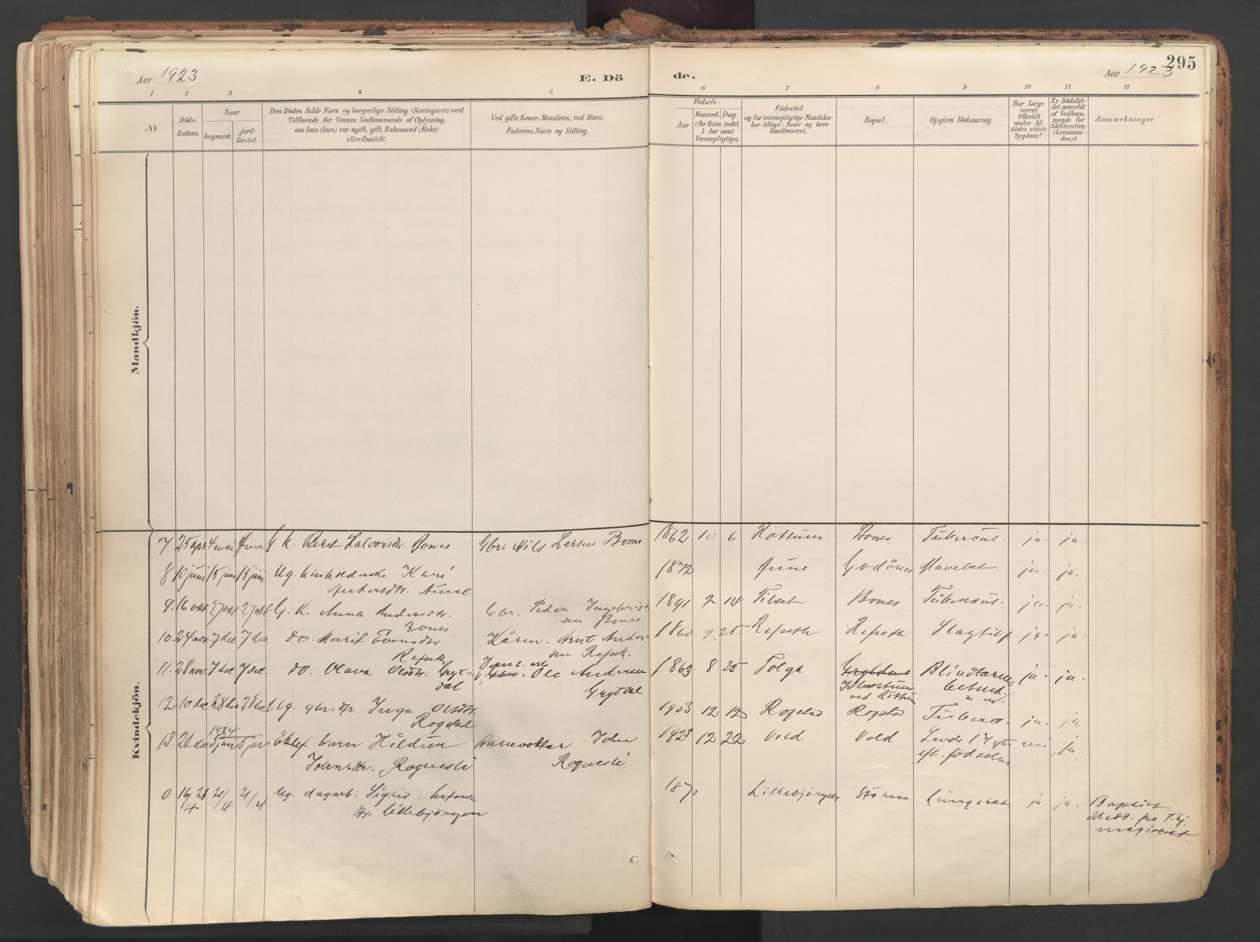 Ministerialprotokoller, klokkerbøker og fødselsregistre - Sør-Trøndelag, SAT/A-1456/687/L1004: Parish register (official) no. 687A10, 1891-1923, p. 295