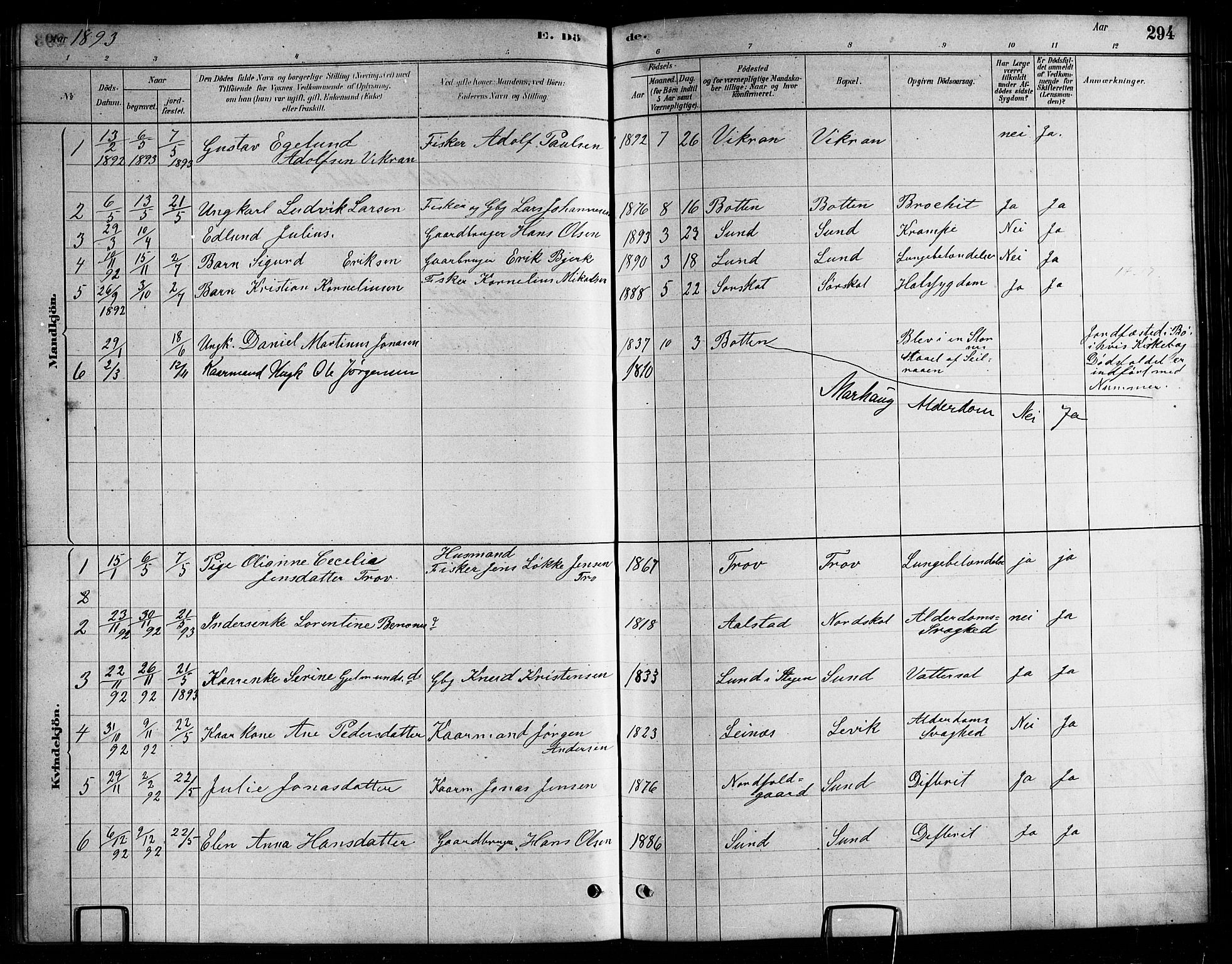 Ministerialprotokoller, klokkerbøker og fødselsregistre - Nordland, AV/SAT-A-1459/857/L0828: Parish register (copy) no. 857C03, 1879-1908, p. 294