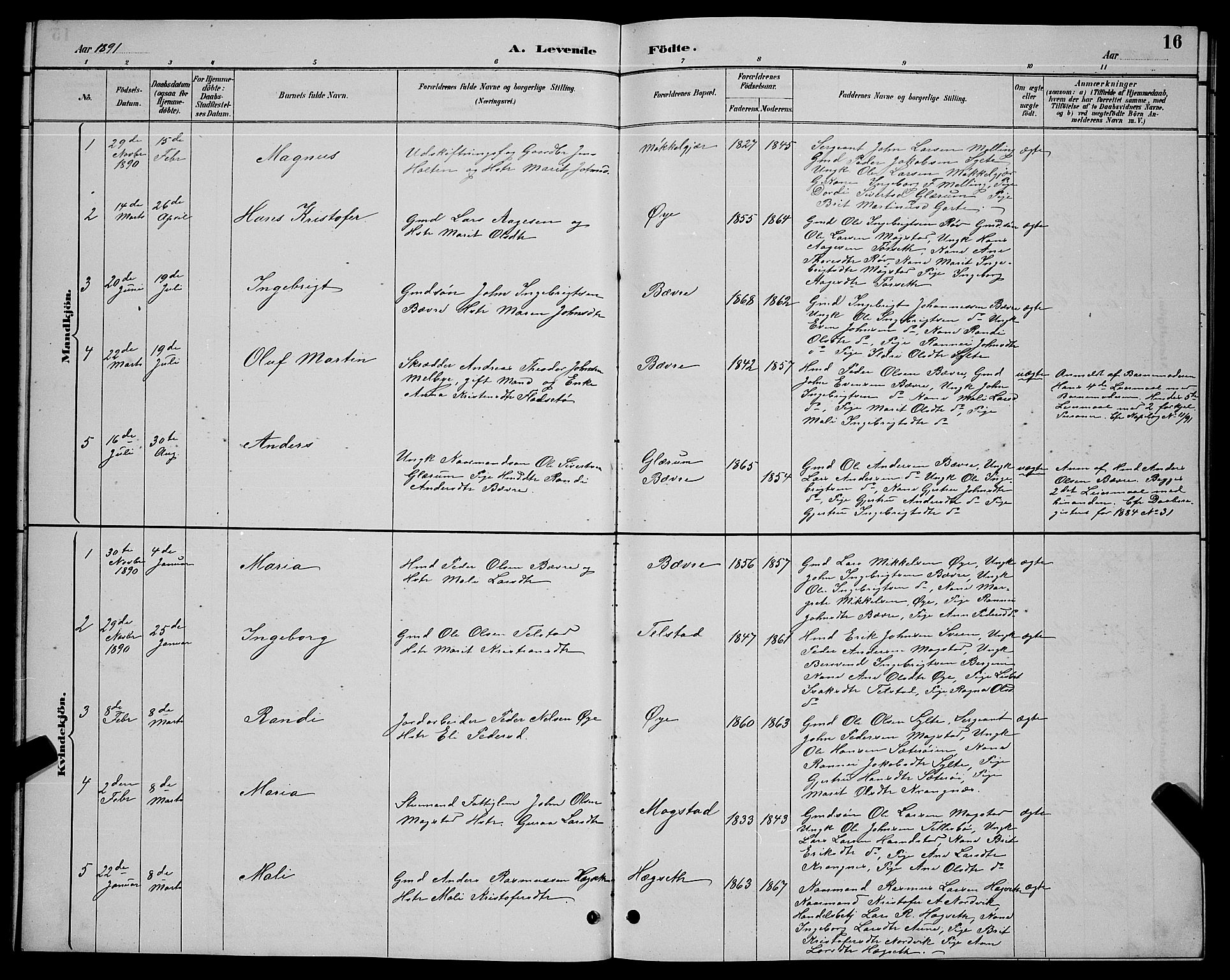 Ministerialprotokoller, klokkerbøker og fødselsregistre - Møre og Romsdal, AV/SAT-A-1454/595/L1052: Parish register (copy) no. 595C04, 1885-1900, p. 16