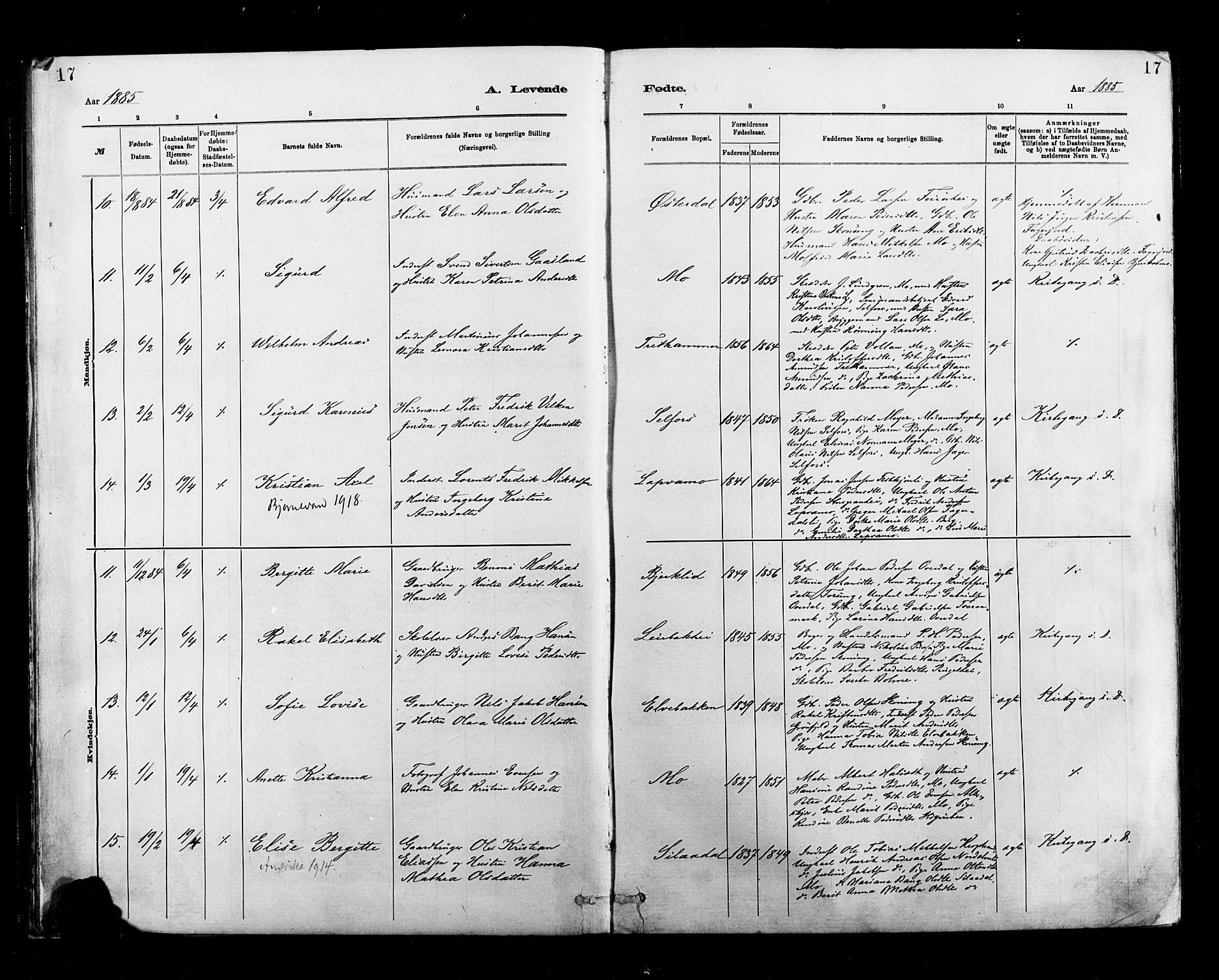 Ministerialprotokoller, klokkerbøker og fødselsregistre - Nordland, SAT/A-1459/827/L0400: Parish register (official) no. 827A12, 1883-1903, p. 17
