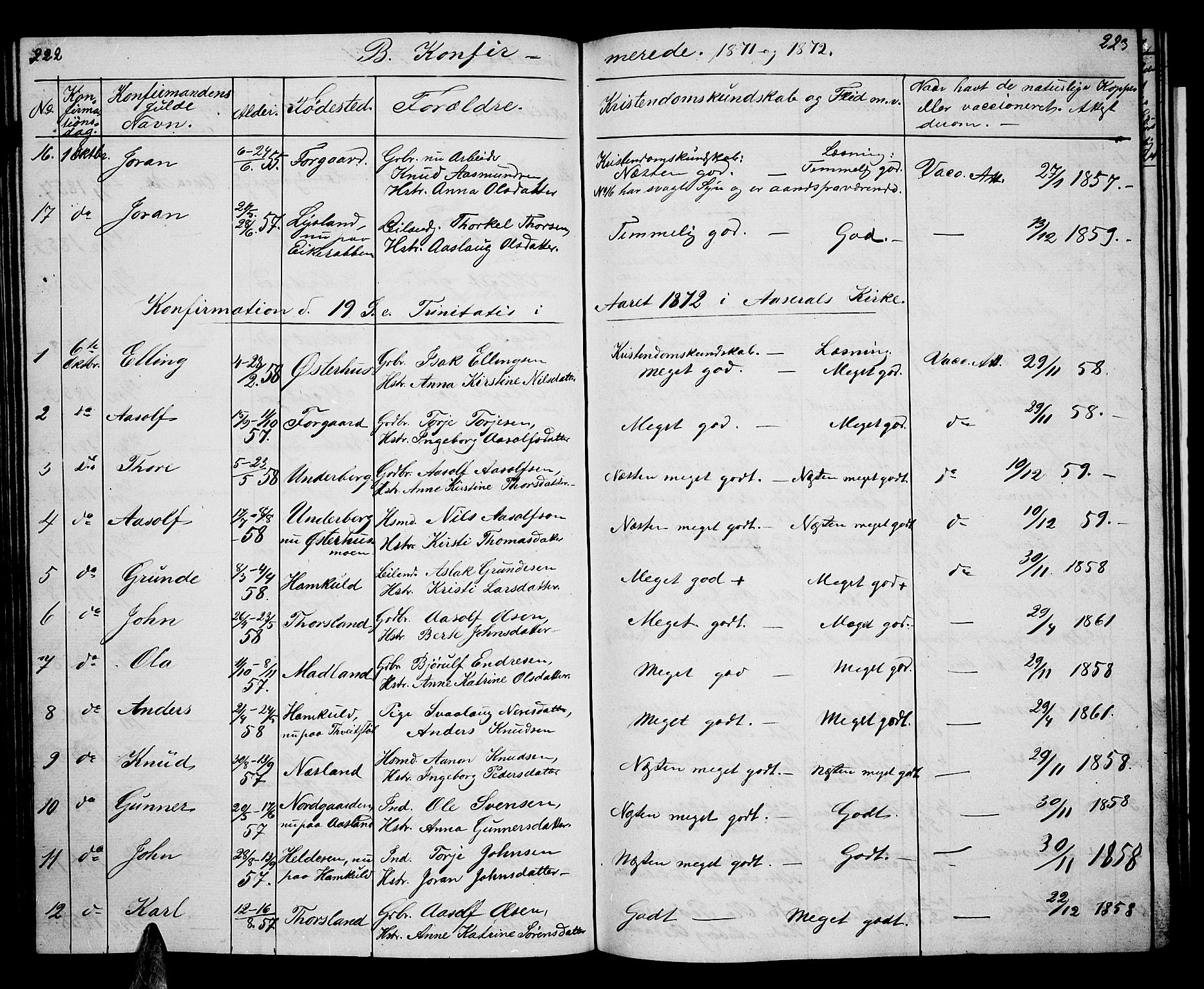 Åseral sokneprestkontor, AV/SAK-1111-0051/F/Fb/L0001: Parish register (copy) no. B 1, 1856-1877, p. 222-223