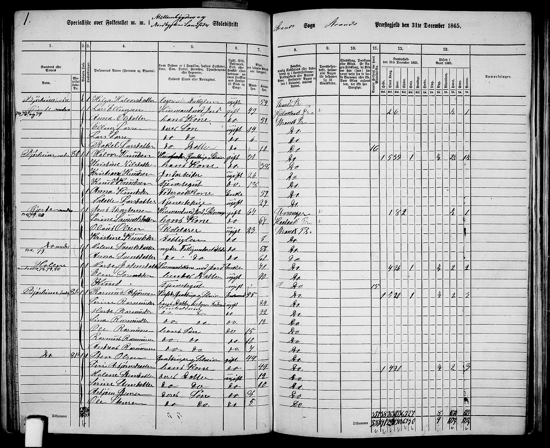 RA, 1865 census for Strand, 1865, p. 36