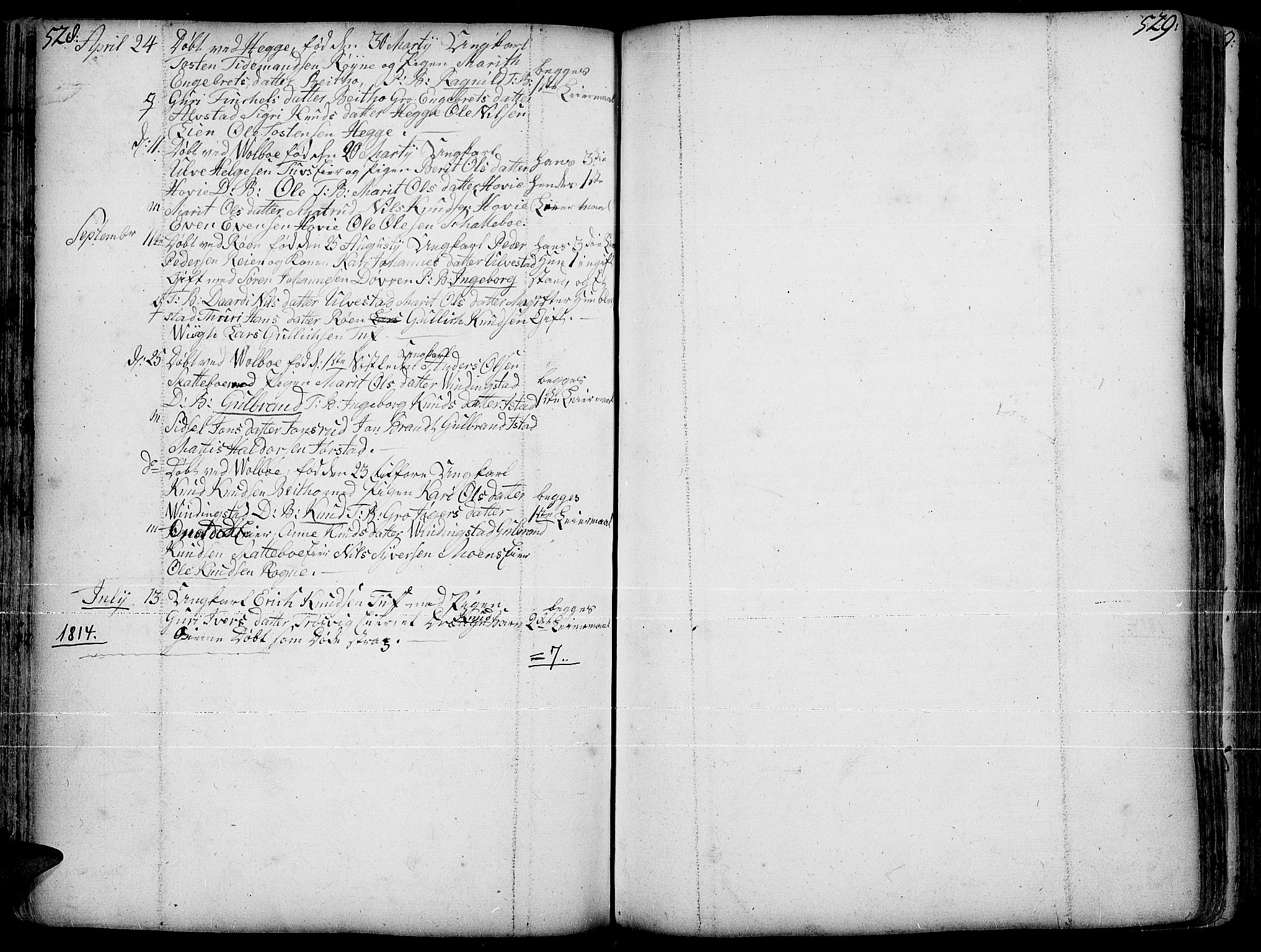 Slidre prestekontor, SAH/PREST-134/H/Ha/Haa/L0001: Parish register (official) no. 1, 1724-1814, p. 528-529