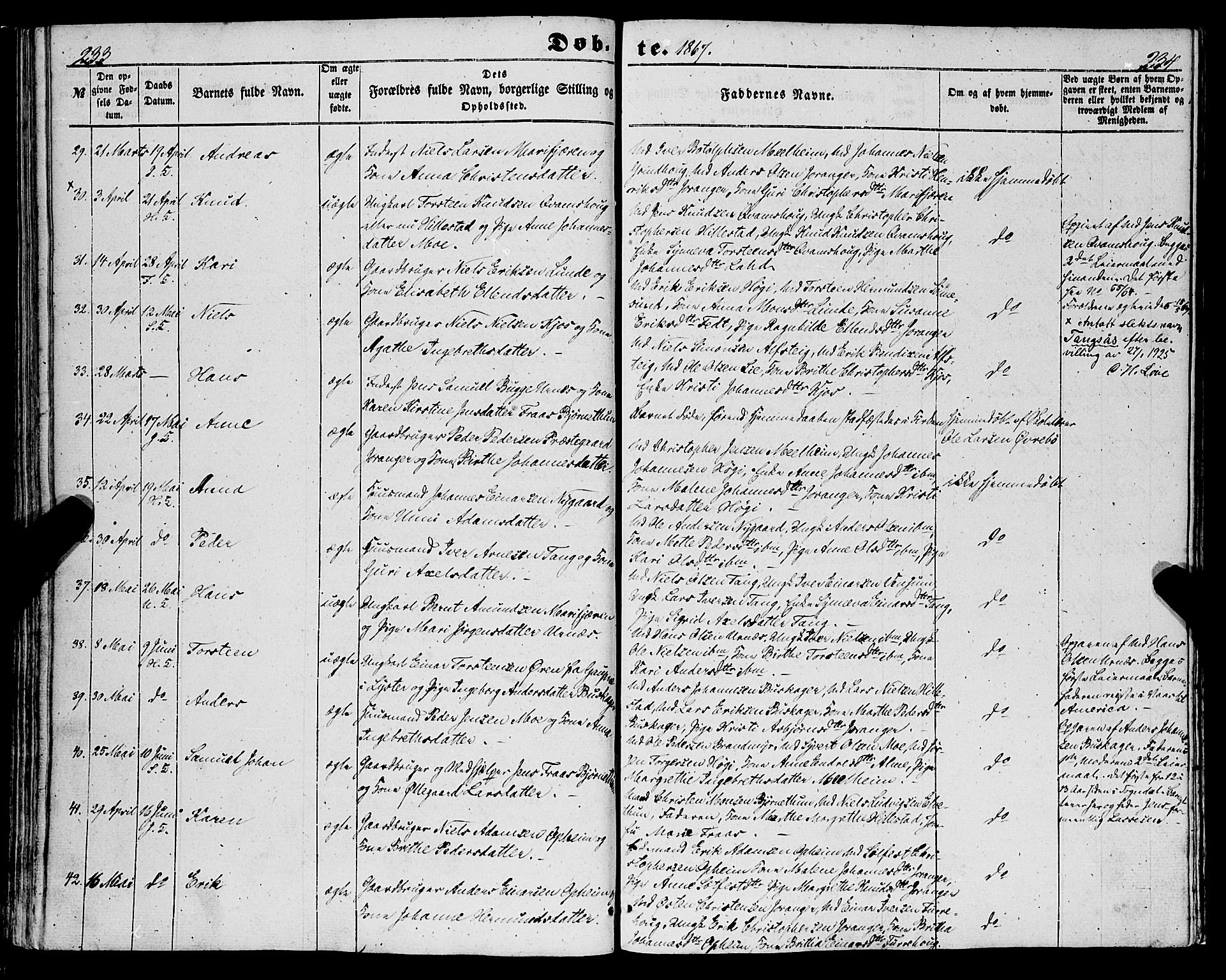 Hafslo sokneprestembete, AV/SAB-A-80301/H/Haa/Haaa/L0009: Parish register (official) no. A 9, 1852-1873, p. 233-234