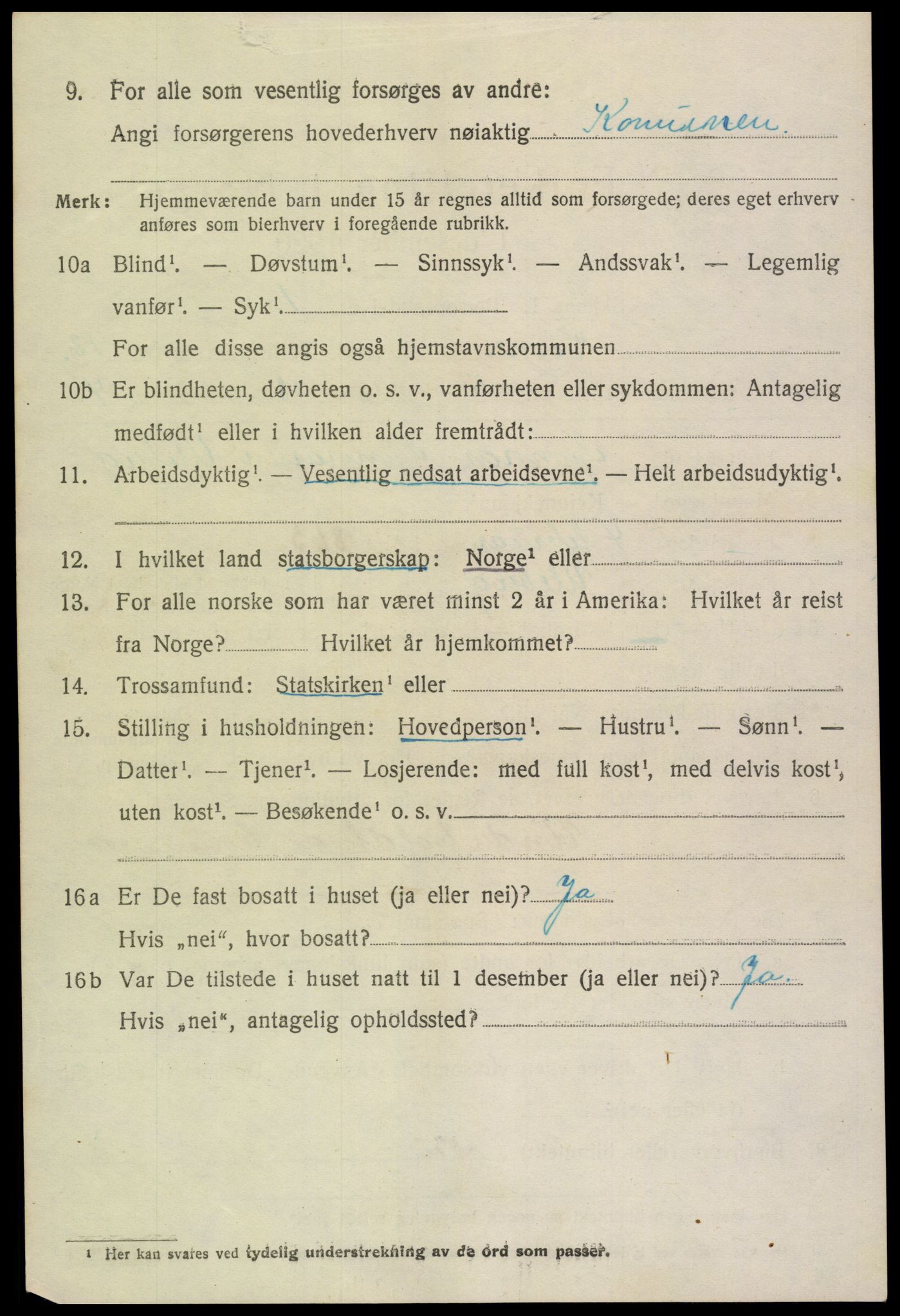 SAK, 1920 census for Hornnes, 1920, p. 2920