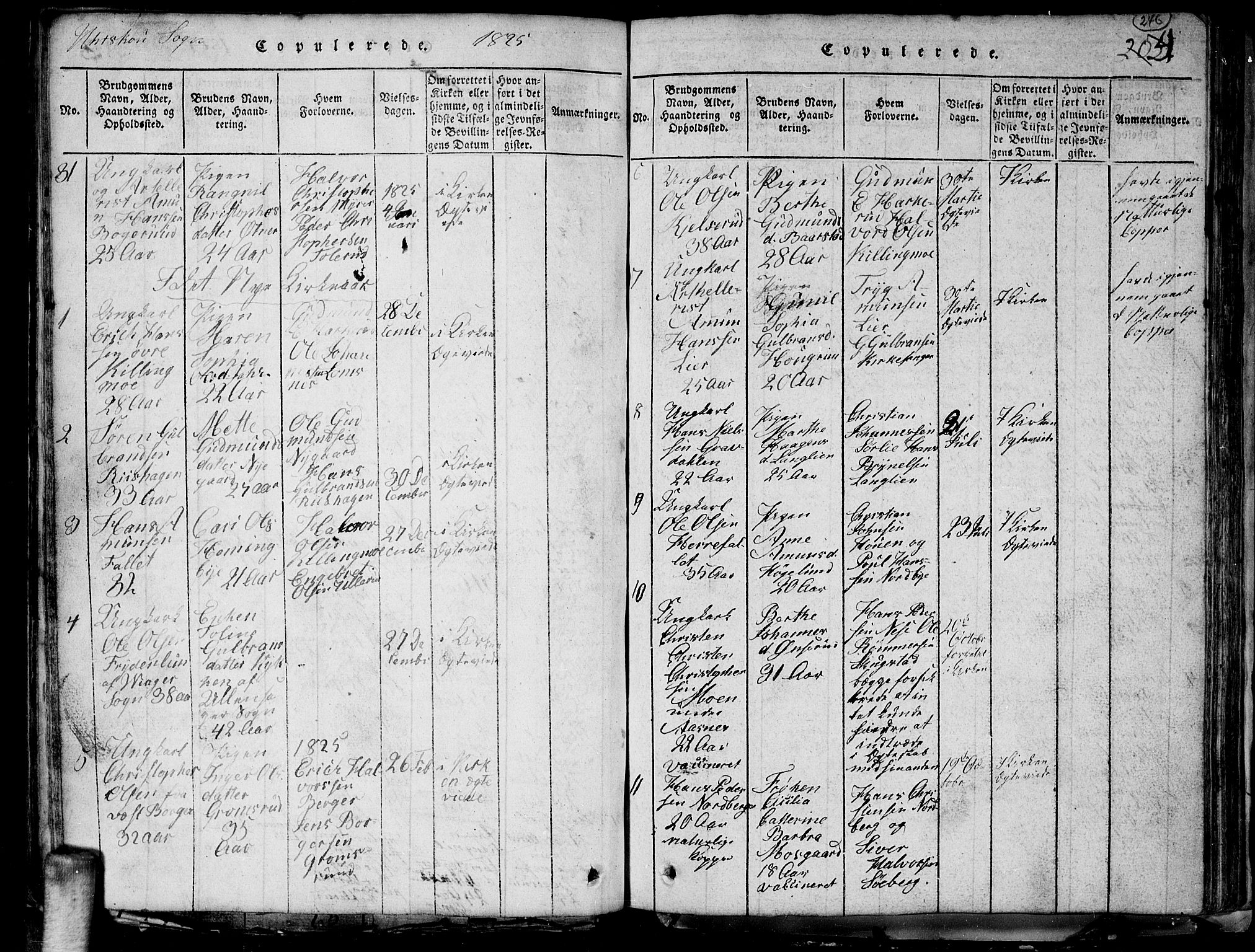 Aurskog prestekontor Kirkebøker, SAO/A-10304a/G/Ga/L0001: Parish register (copy) no. I 1, 1814-1829, p. 246