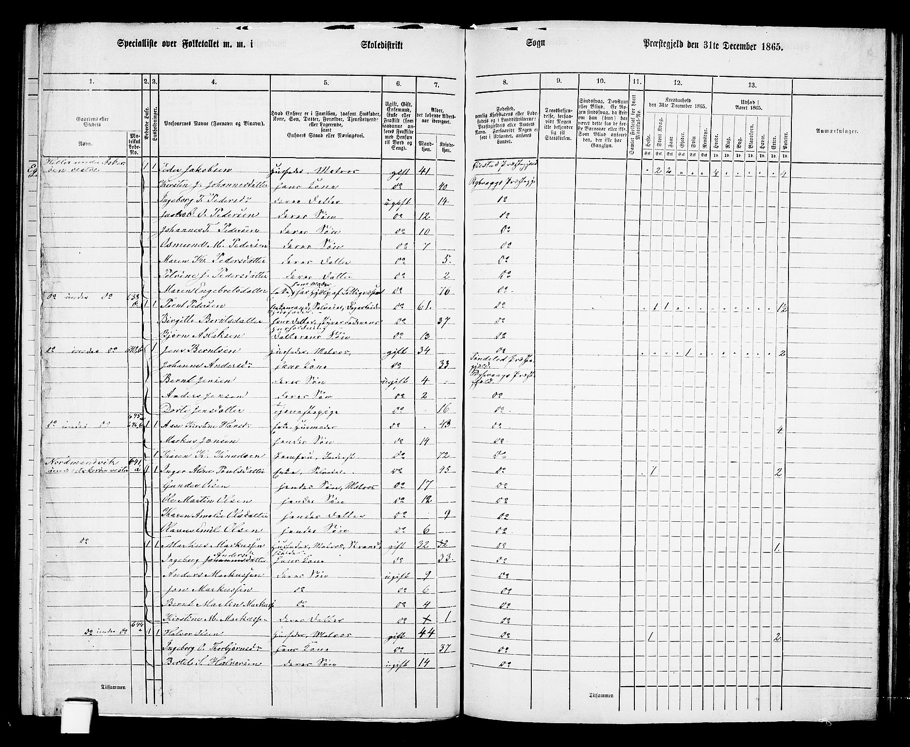 RA, 1865 census for Dypvåg, 1865, p. 96