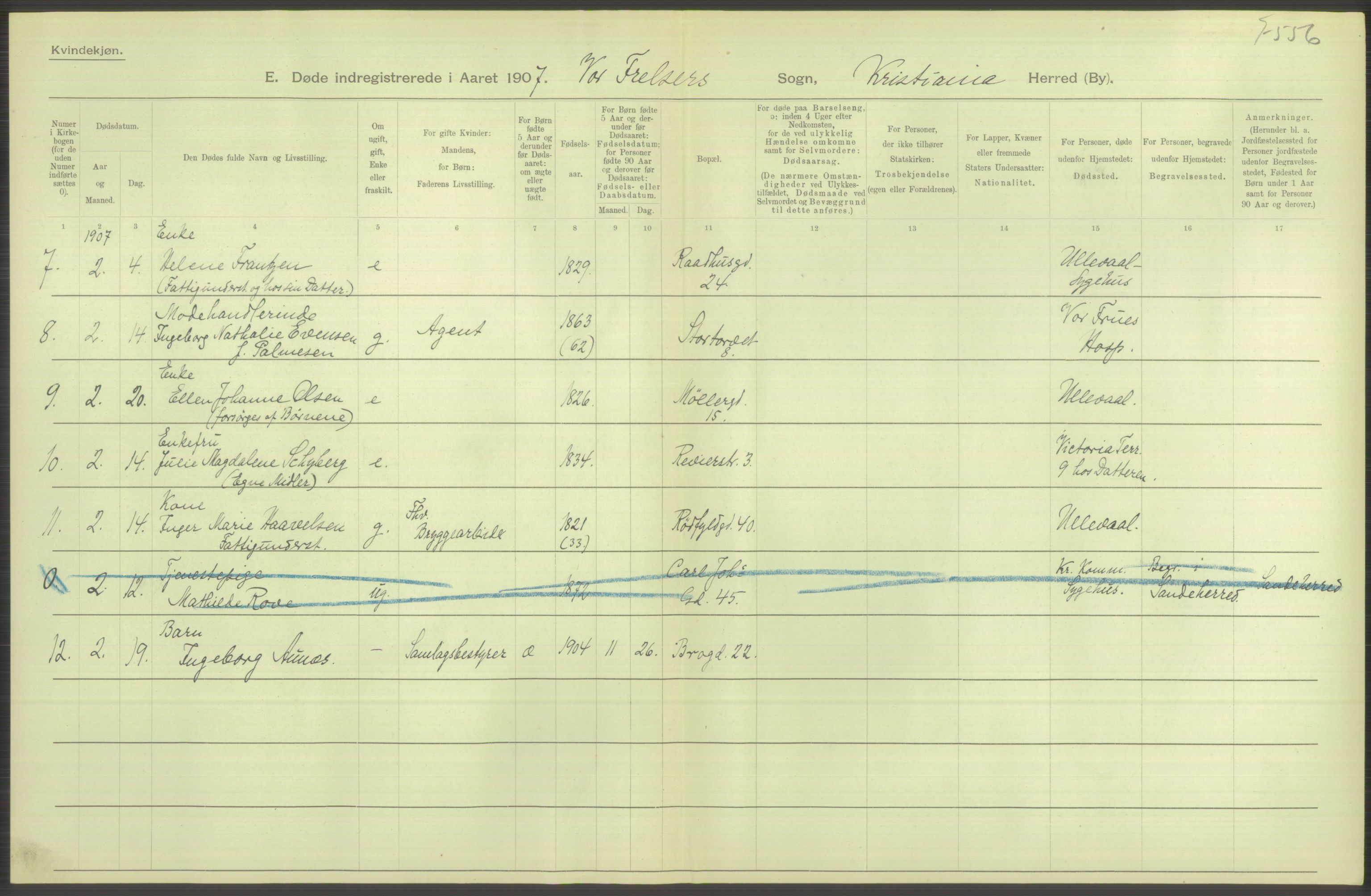 Statistisk sentralbyrå, Sosiodemografiske emner, Befolkning, RA/S-2228/D/Df/Dfa/Dfae/L0009: Kristiania: Døde, 1907, p. 216