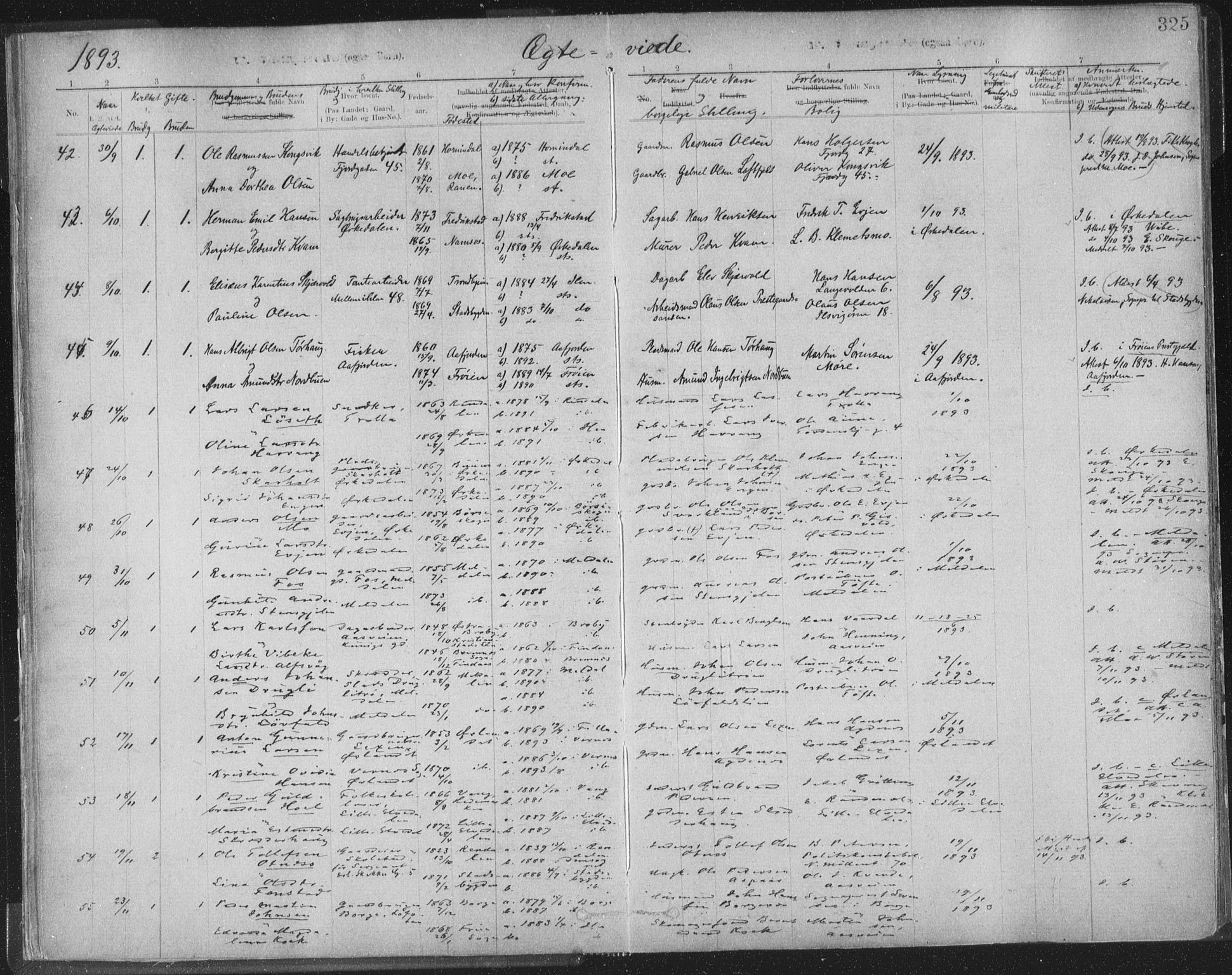 Ministerialprotokoller, klokkerbøker og fødselsregistre - Sør-Trøndelag, SAT/A-1456/603/L0163: Parish register (official) no. 603A02, 1879-1895, p. 325