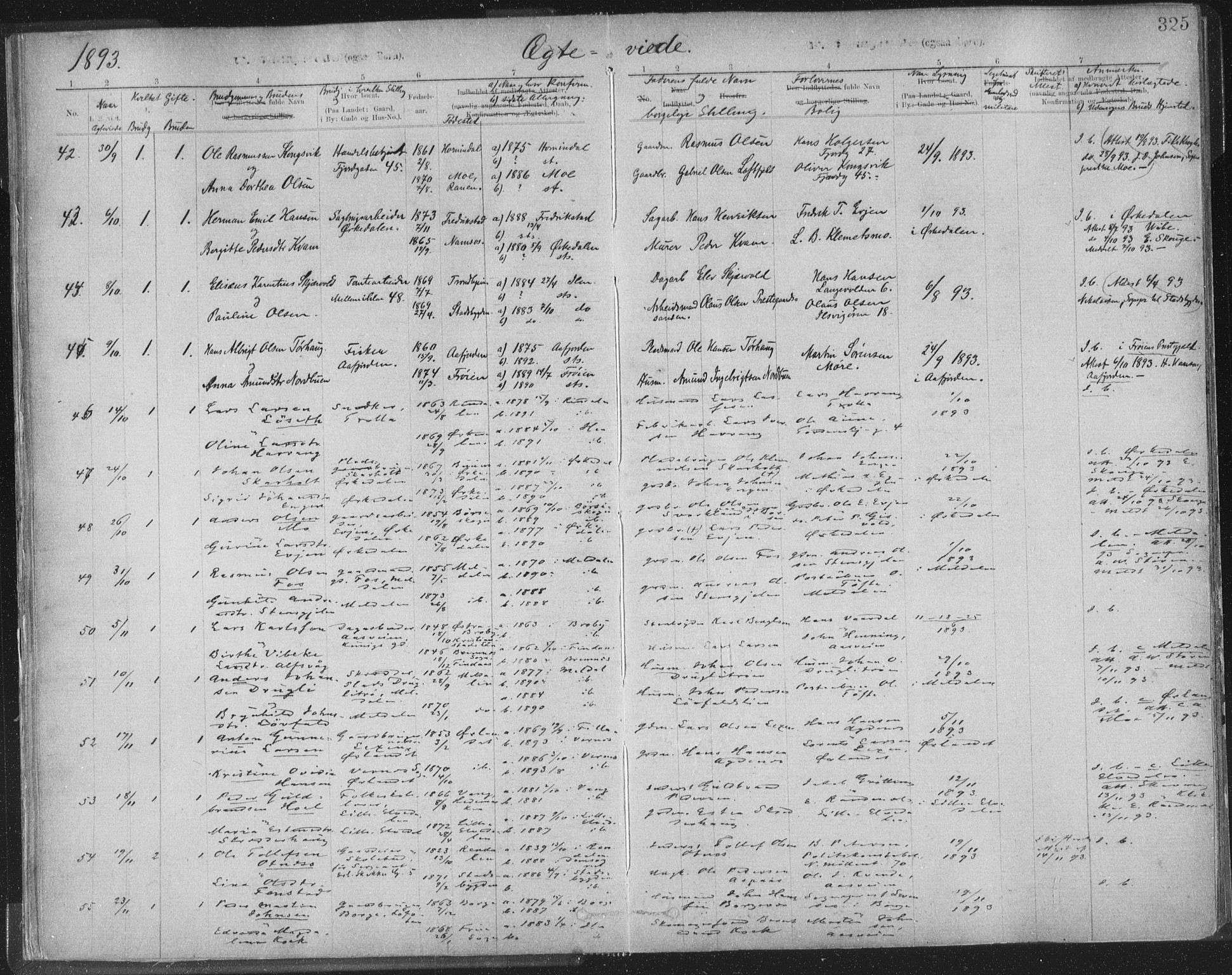 Ministerialprotokoller, klokkerbøker og fødselsregistre - Sør-Trøndelag, AV/SAT-A-1456/603/L0163: Parish register (official) no. 603A02, 1879-1895, p. 325