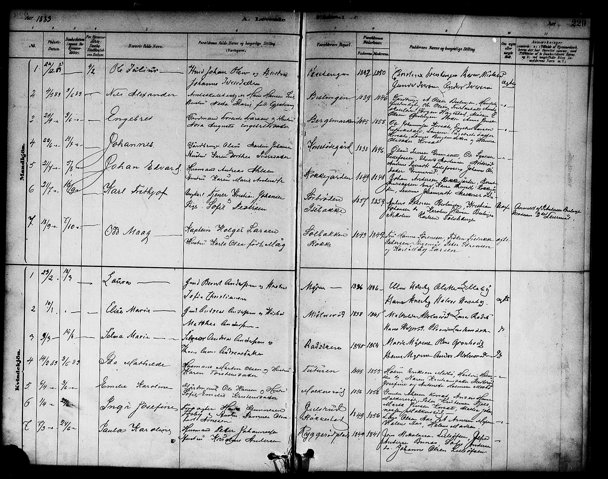 Berg prestekontor Kirkebøker, SAO/A-10902/F/Fc/L0001: Parish register (official) no. III 1, 1878-1887, p. 229