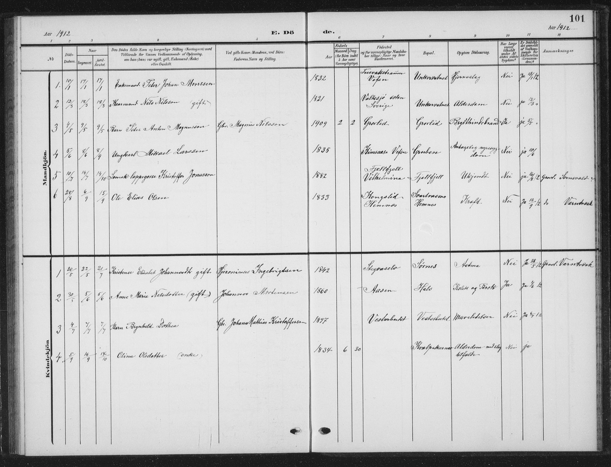 Ministerialprotokoller, klokkerbøker og fødselsregistre - Nordland, AV/SAT-A-1459/823/L0331: Parish register (copy) no. 823C03, 1905-1934, p. 101