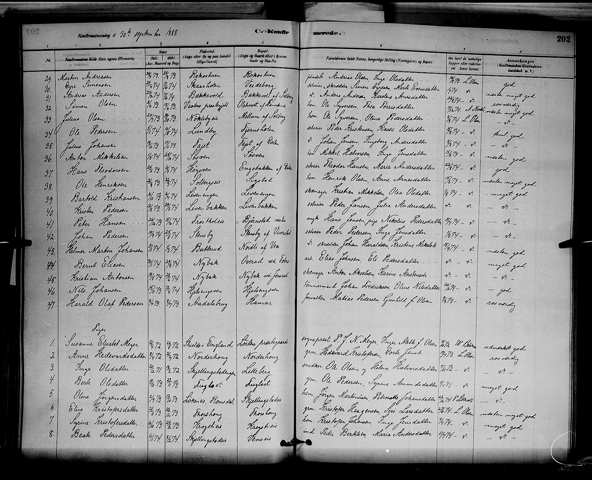 Løten prestekontor, AV/SAH-PREST-022/L/La/L0005: Parish register (copy) no. 5, 1878-1891, p. 202