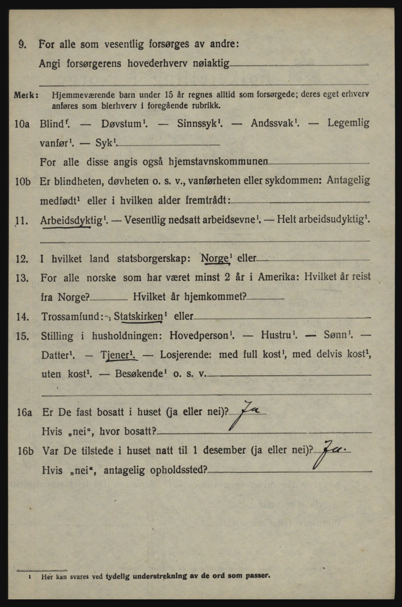 SAO, 1920 census for Skjeberg, 1920, p. 15082