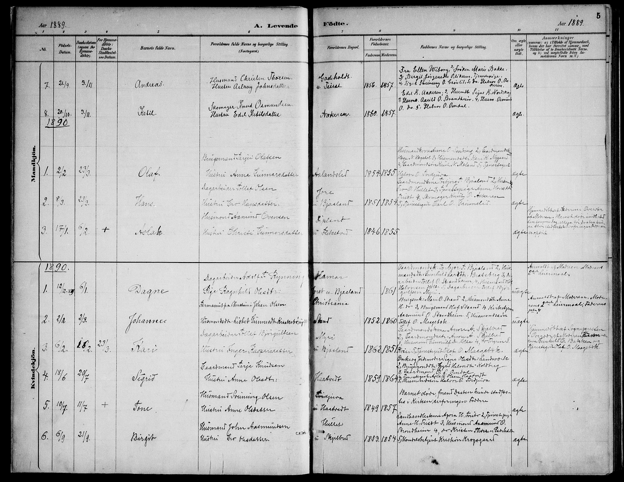 Lårdal kirkebøker, AV/SAKO-A-284/F/Fa/L0007: Parish register (official) no. I 7, 1887-1906, p. 5