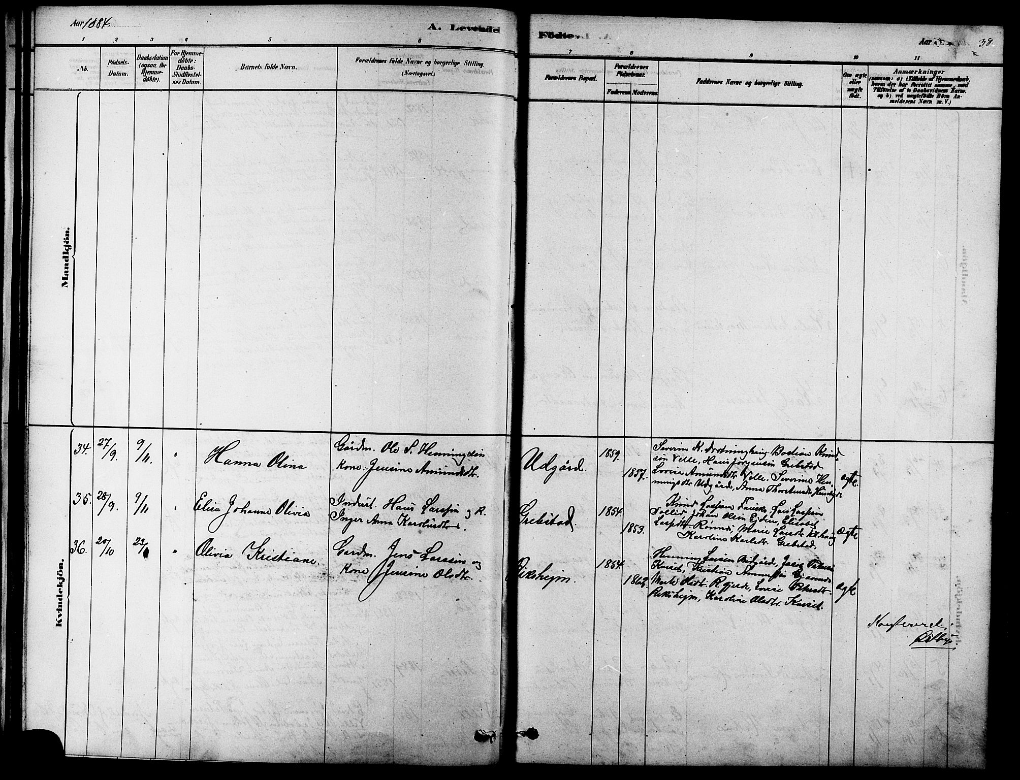 Ministerialprotokoller, klokkerbøker og fødselsregistre - Møre og Romsdal, AV/SAT-A-1454/523/L0339: Parish register (copy) no. 523C02, 1878-1891, p. 38