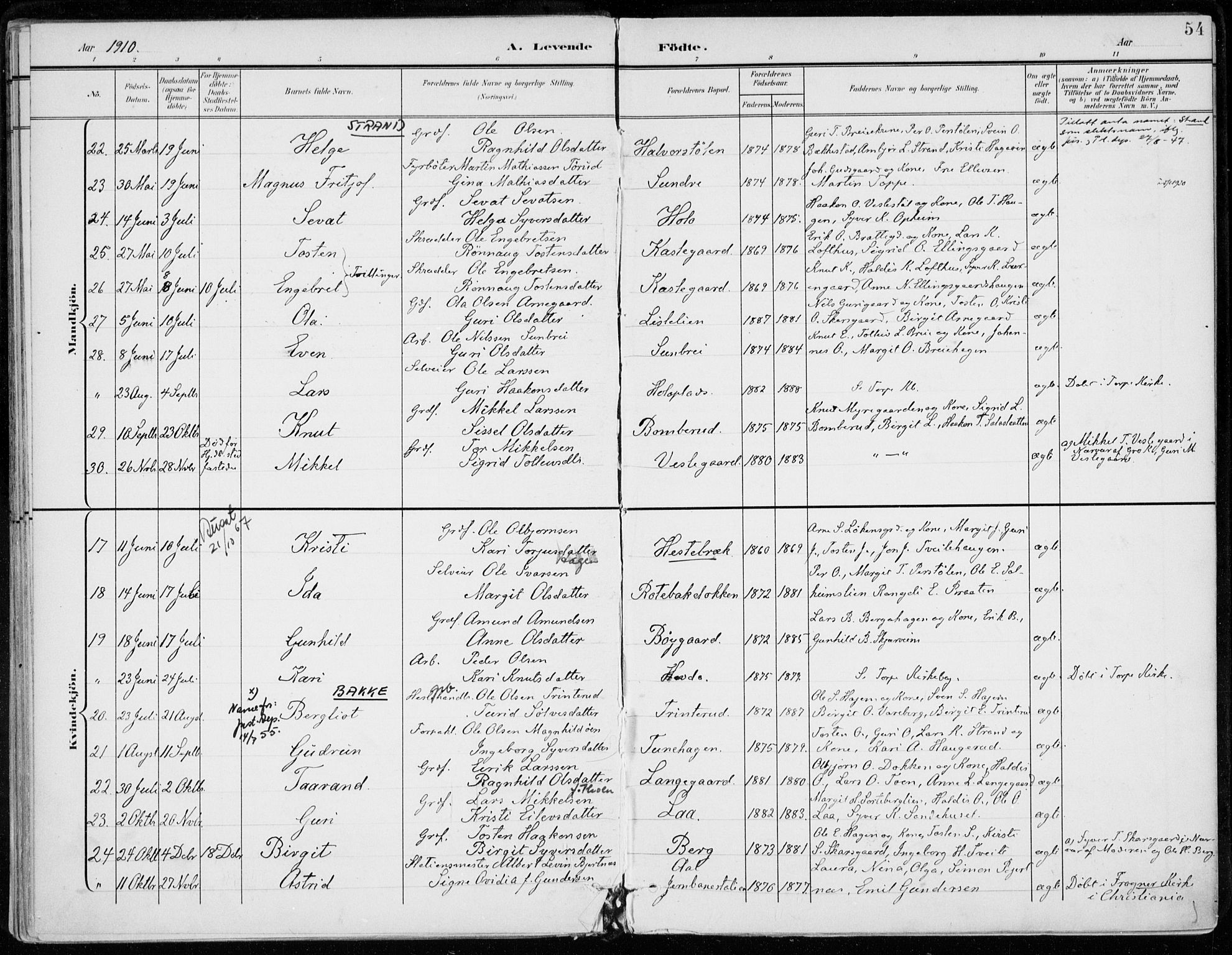 Ål kirkebøker, AV/SAKO-A-249/F/Fa/L0009: Parish register (official) no. I 9, 1897-1915, p. 54