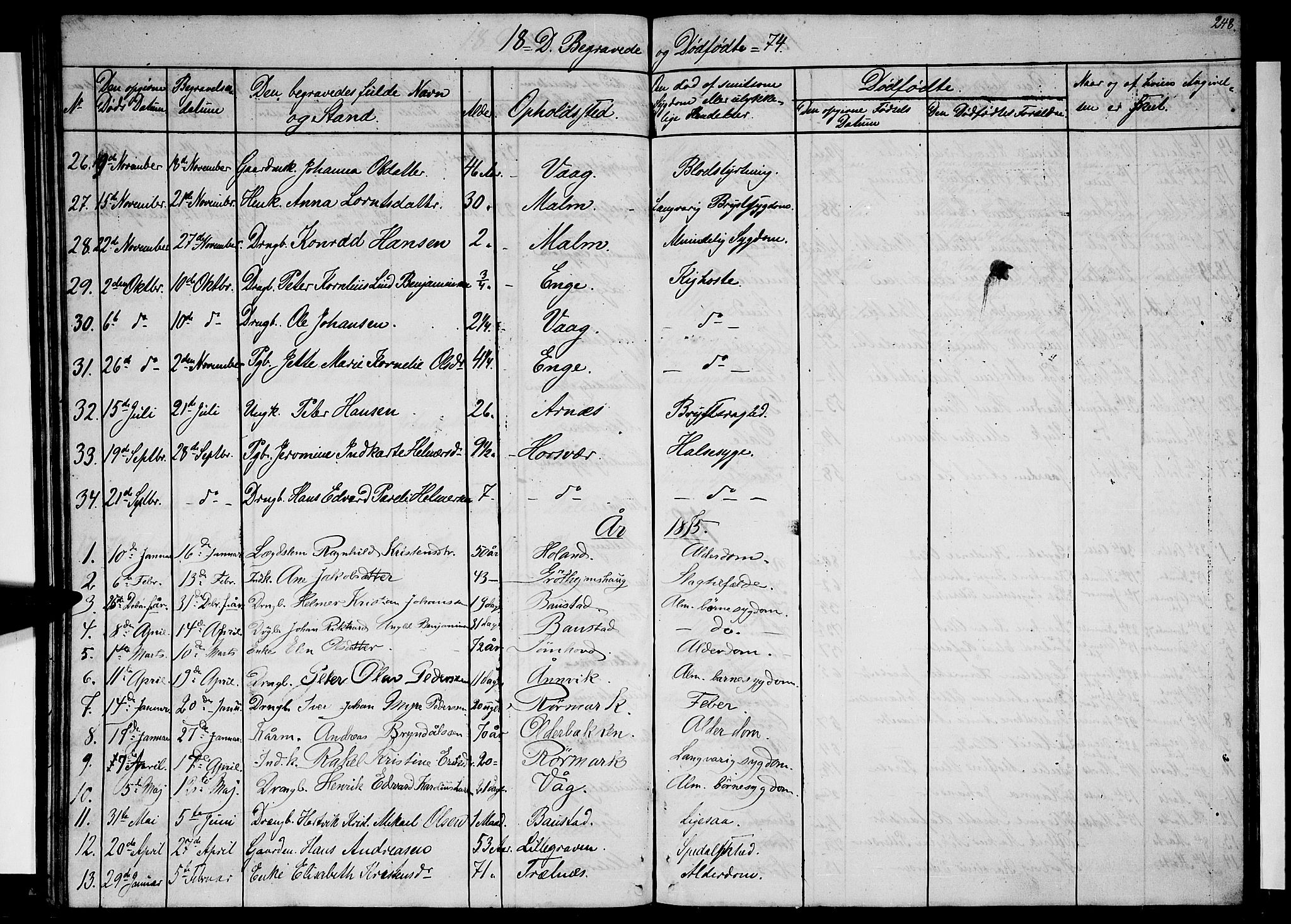 Ministerialprotokoller, klokkerbøker og fødselsregistre - Nordland, SAT/A-1459/812/L0187: Parish register (copy) no. 812C05, 1850-1883, p. 248