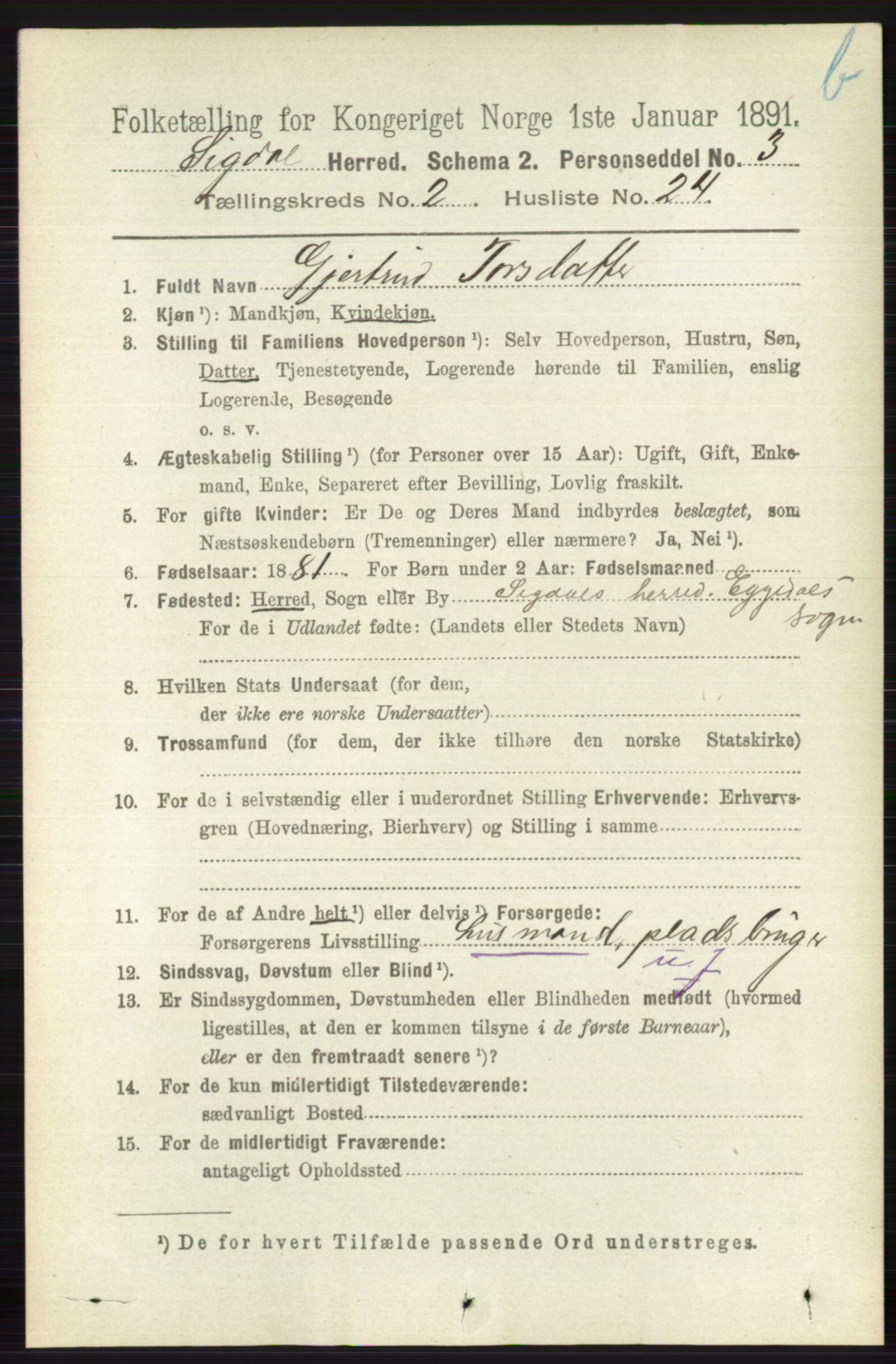 RA, 1891 census for 0621 Sigdal, 1891, p. 4033
