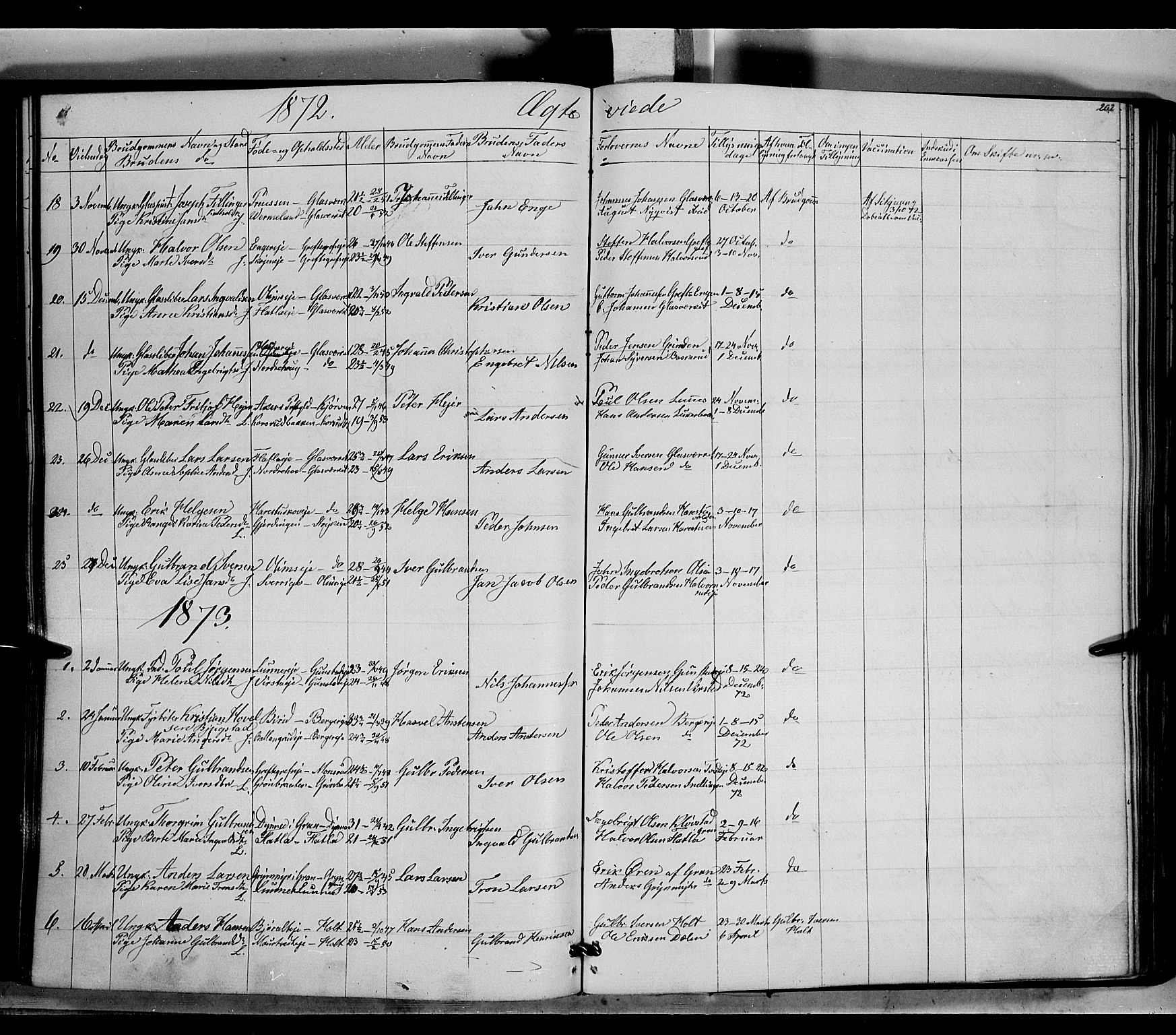Jevnaker prestekontor, SAH/PREST-116/H/Ha/Haa/L0007: Parish register (official) no. 7, 1858-1876, p. 202