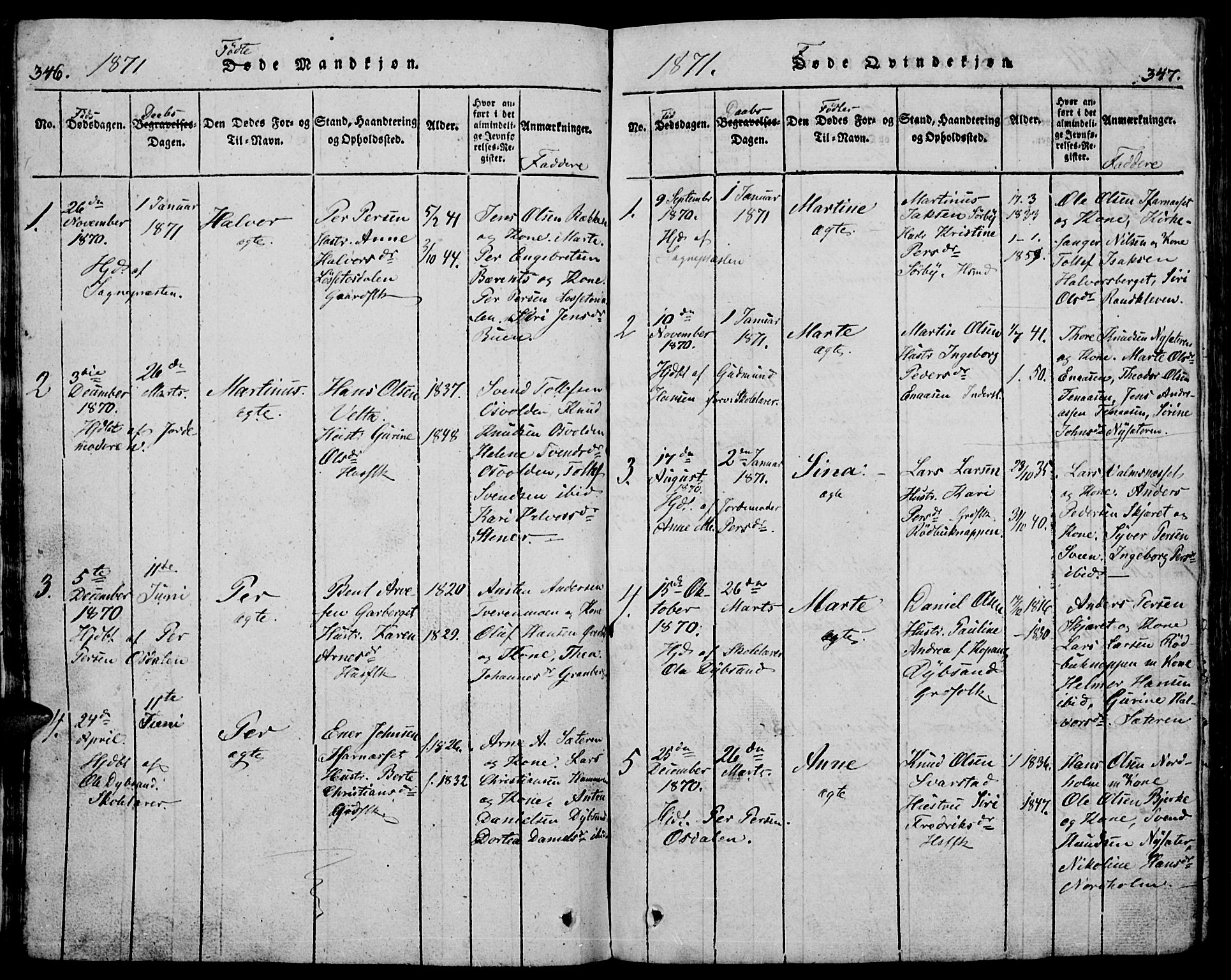 Trysil prestekontor, AV/SAH-PREST-046/H/Ha/Hab/L0005: Parish register (copy) no. 5, 1814-1877, p. 346-347
