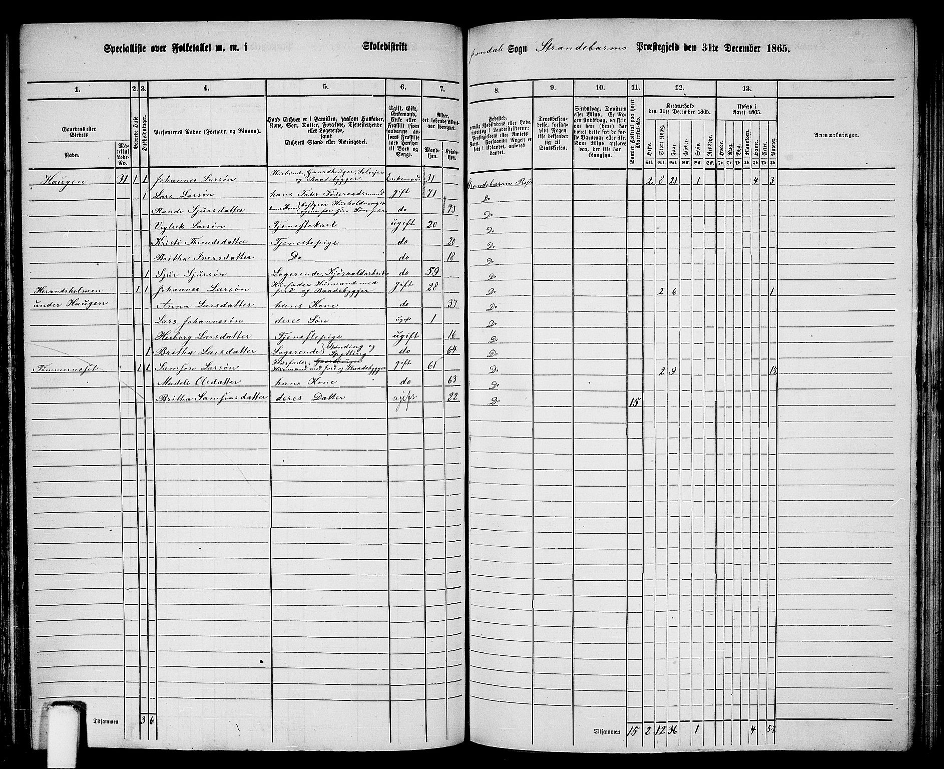 RA, 1865 census for Strandebarm, 1865, p. 154