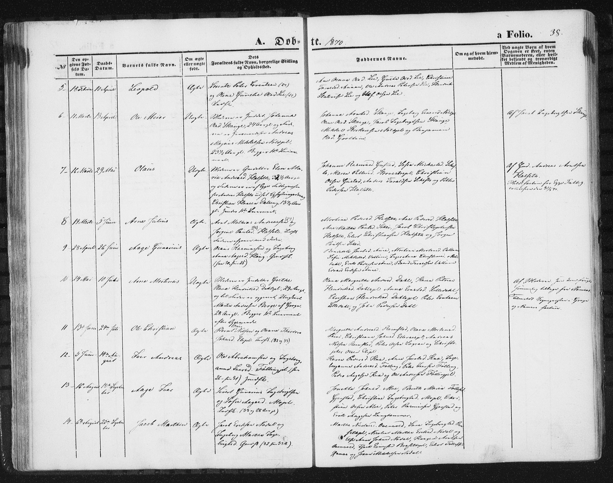 Ministerialprotokoller, klokkerbøker og fødselsregistre - Nord-Trøndelag, AV/SAT-A-1458/746/L0447: Parish register (official) no. 746A06, 1860-1877, p. 38