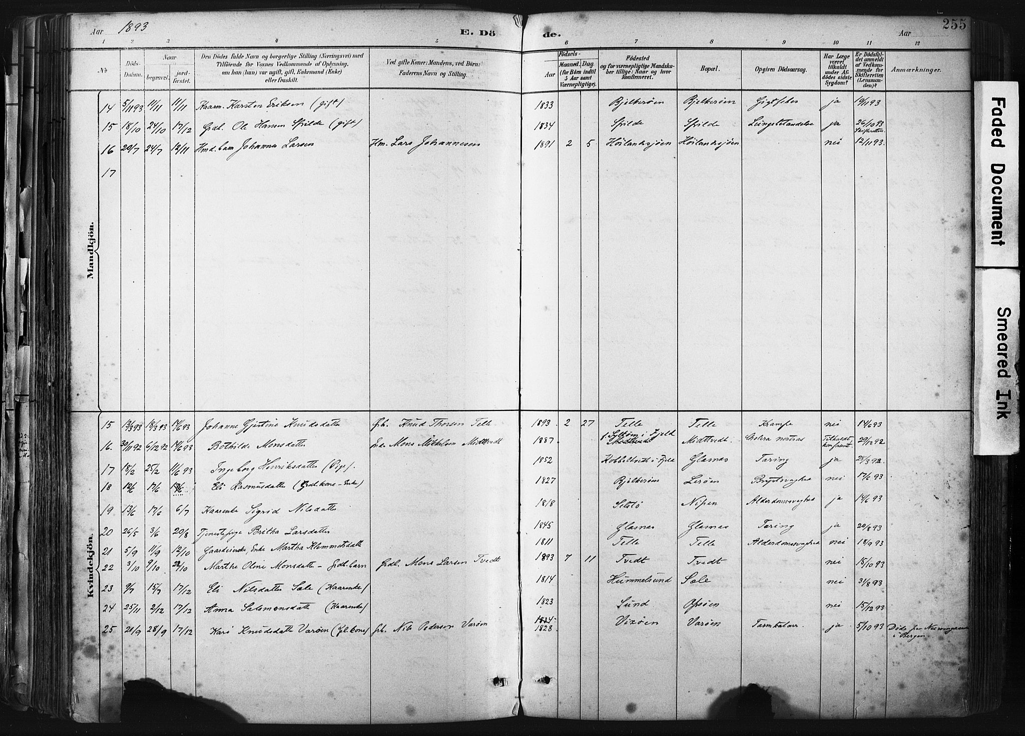 Sund sokneprestembete, AV/SAB-A-99930: Parish register (official) no. B 1, 1882-1907, p. 255