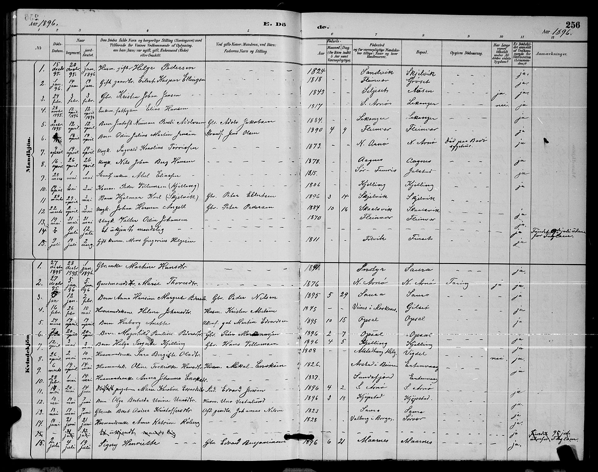 Ministerialprotokoller, klokkerbøker og fødselsregistre - Nordland, SAT/A-1459/805/L0108: Parish register (copy) no. 805C04, 1885-1899, p. 256