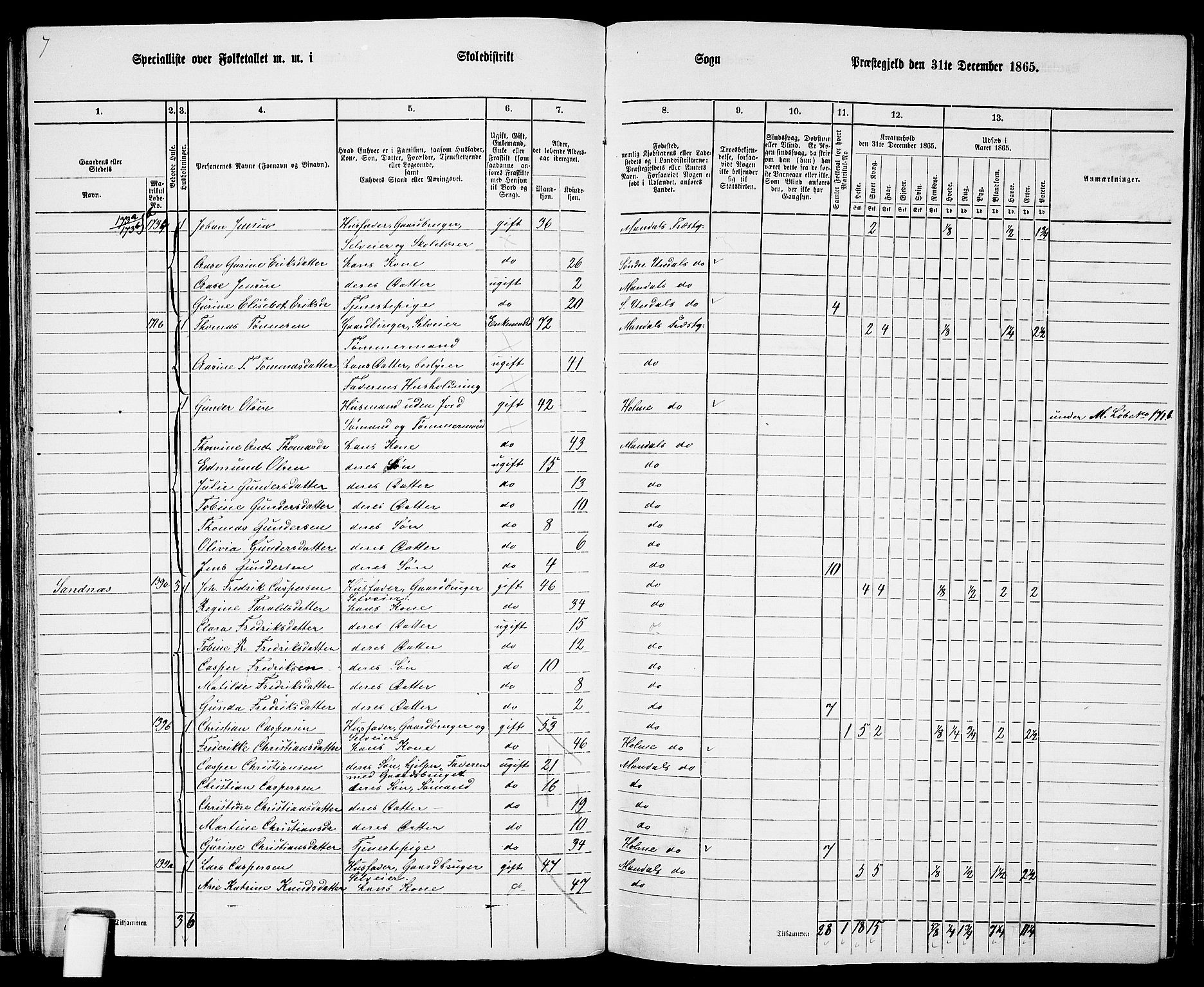 RA, 1865 census for Mandal/Halse og Harkmark, 1865, p. 51